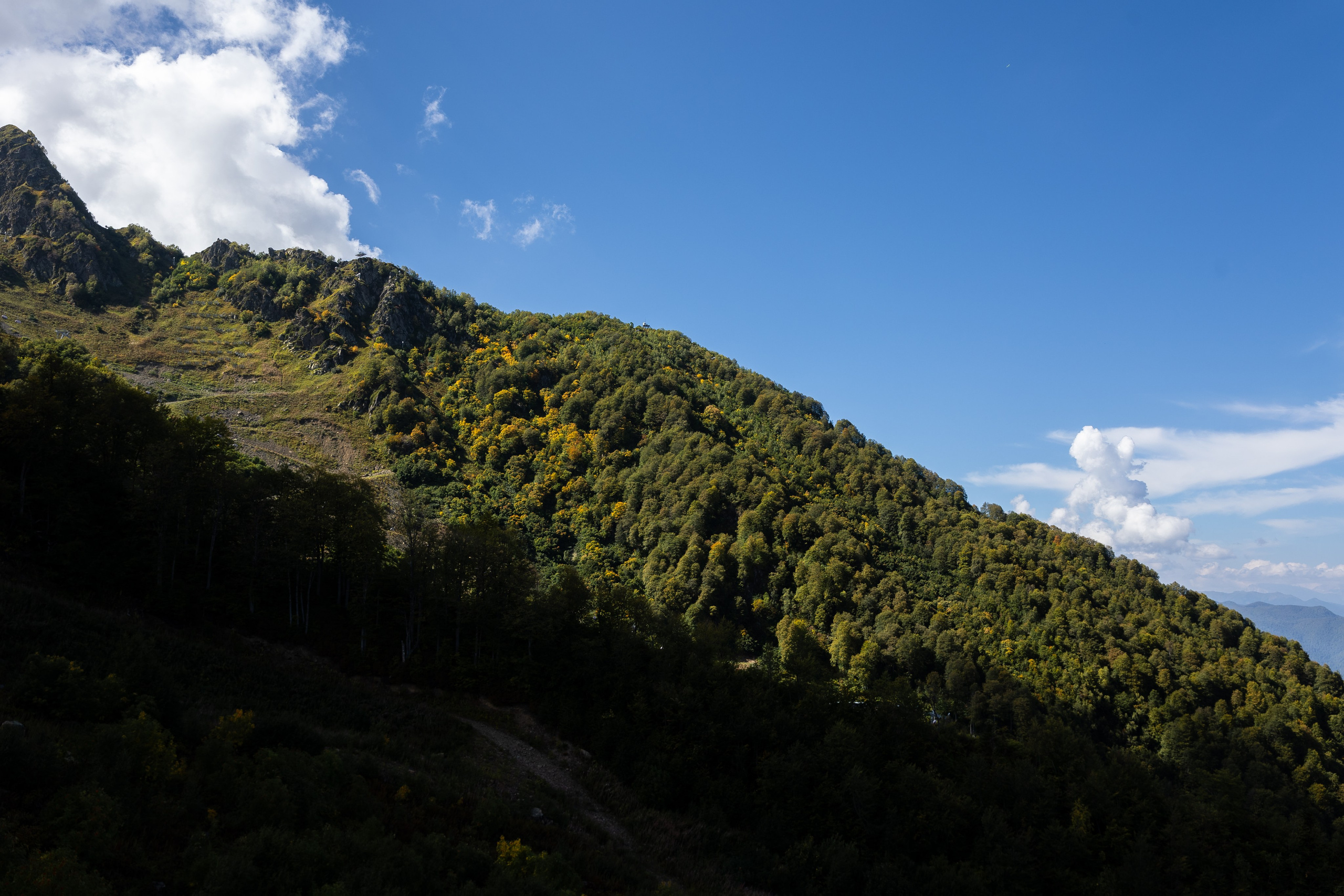 Катя. Фотосъёмка Сочи, Адлер, Красная Поляна