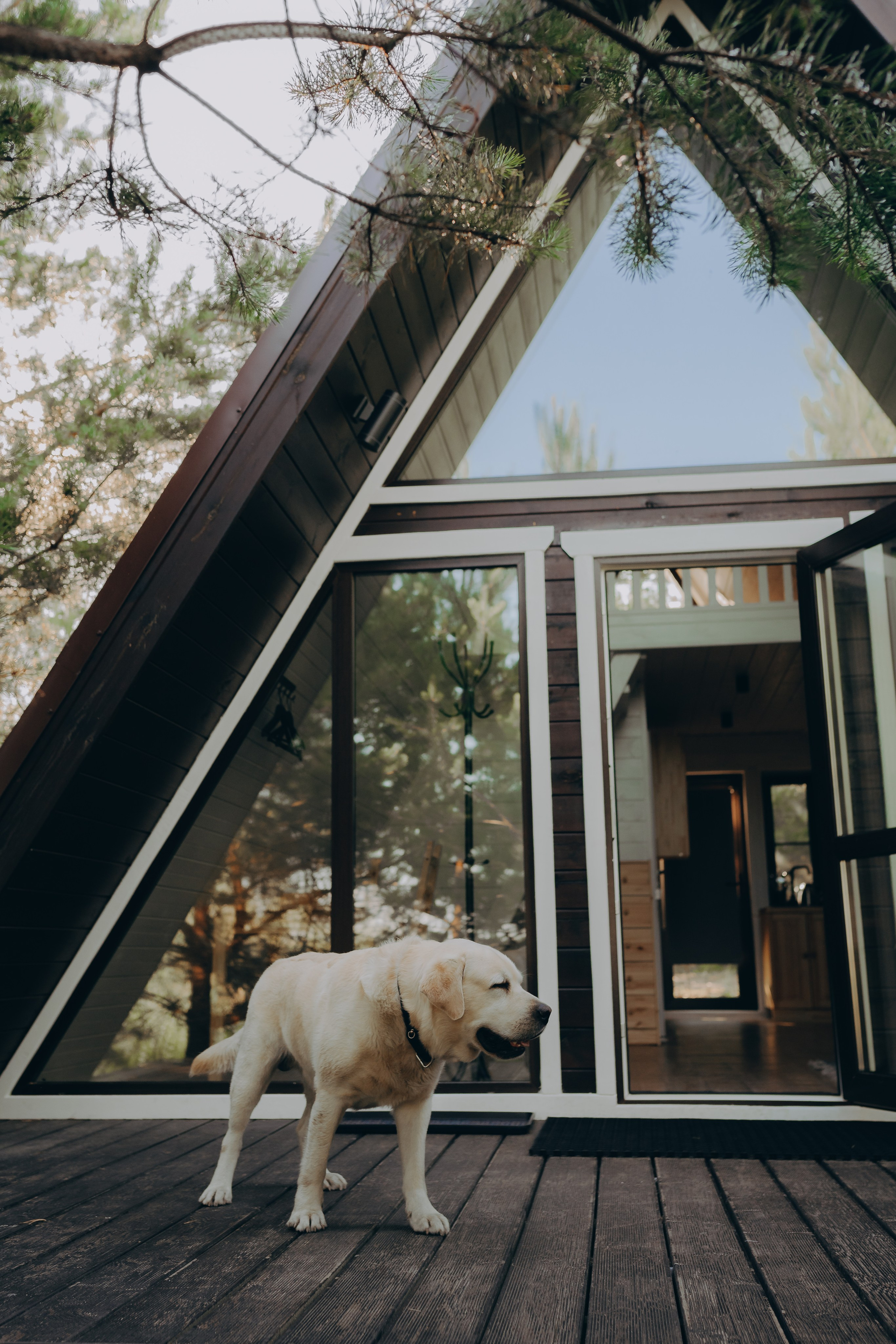 Глемпинг Шалаш. Фотограф Торопец Кристина Абрамова Kanwellia photography