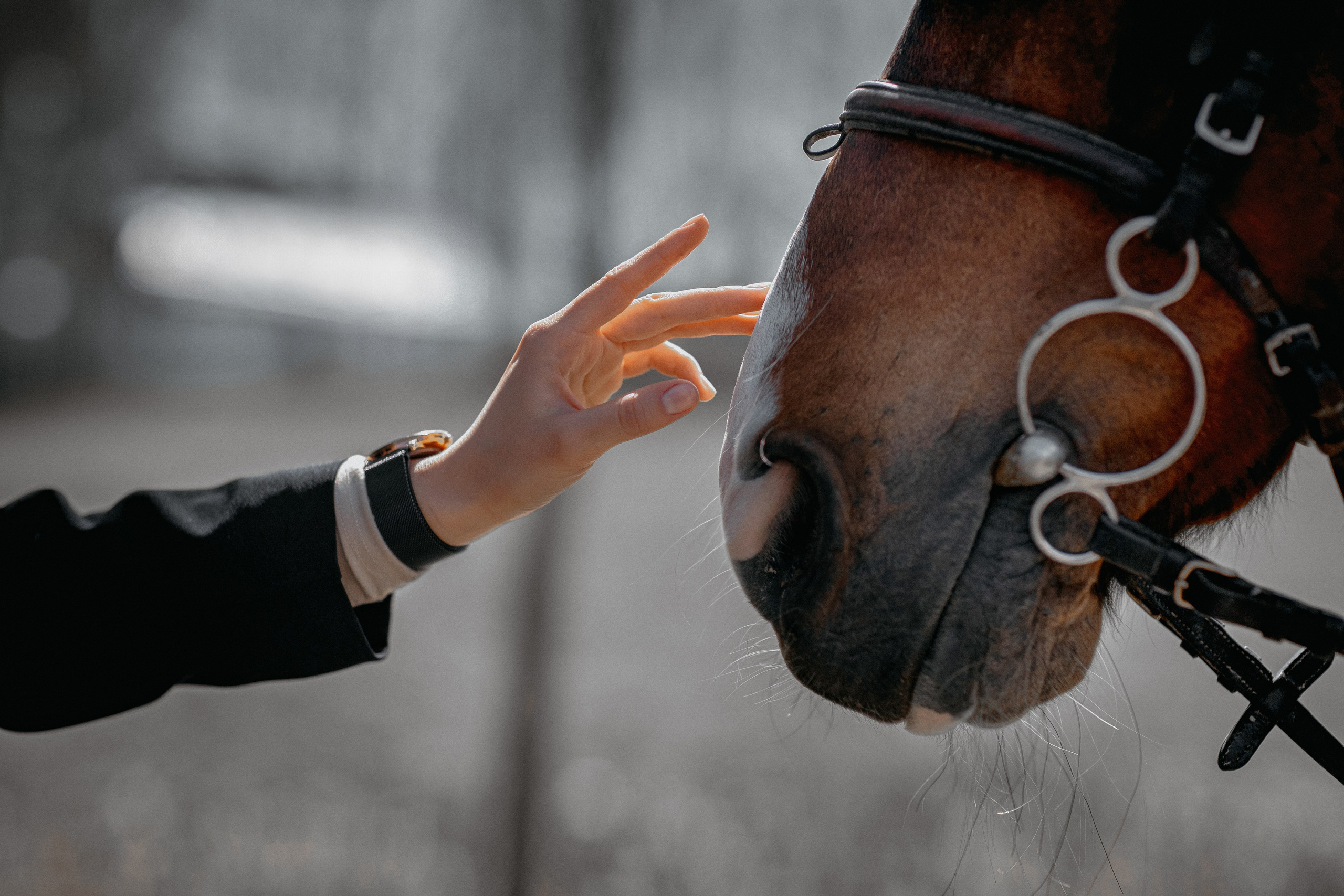 Фотоссесии. Свадебный и Семейный Фотограф в Краснодаре
