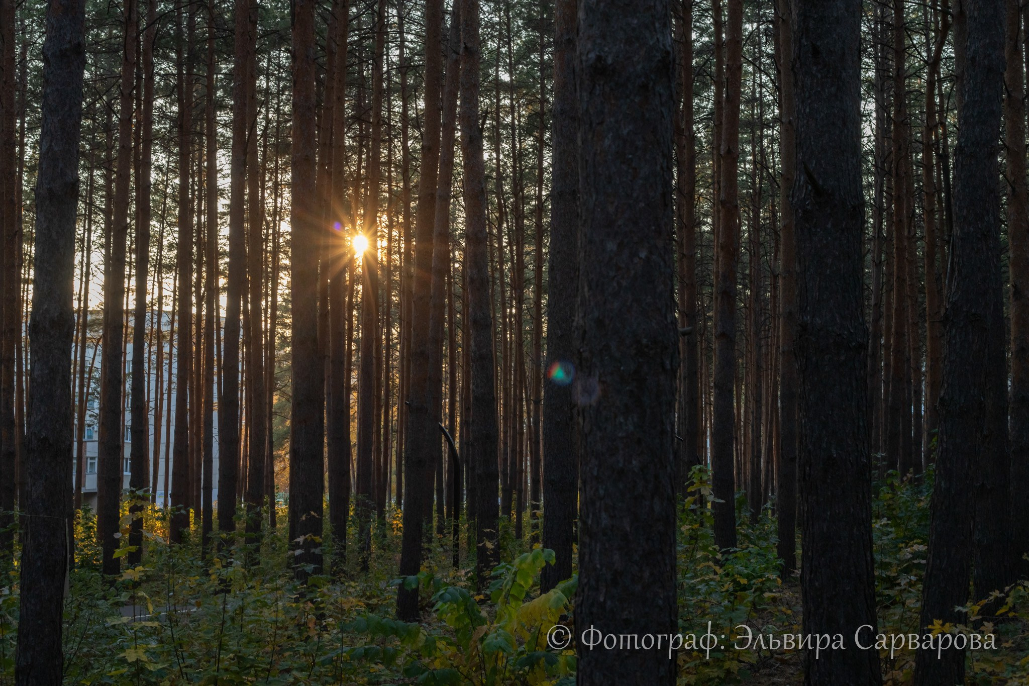 Осенняя фотосессия. Репортажный Фотограф