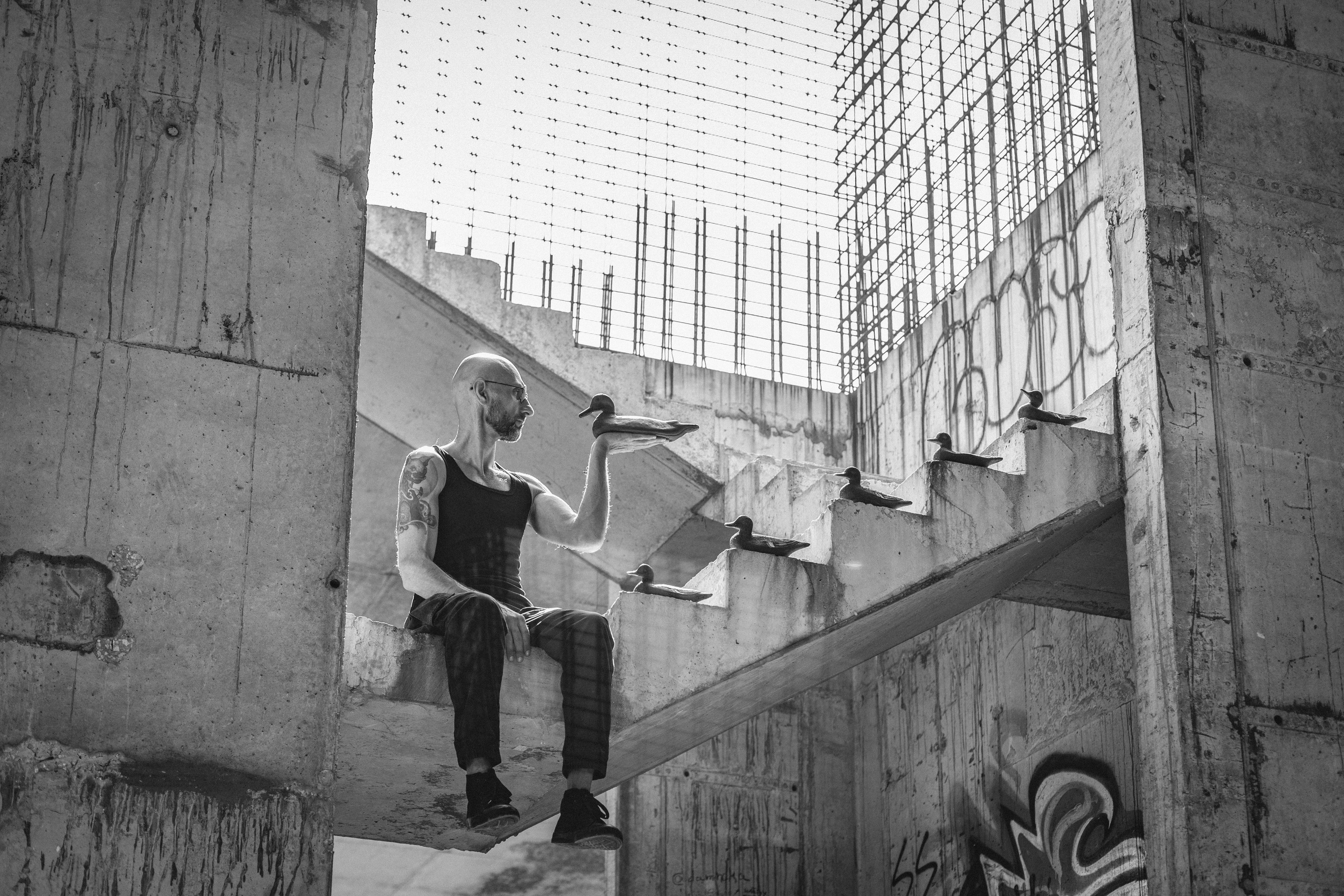 ДИЧЬ | Утиные истории. Контент-фотограф Рязань/Москва/Санкт-Петербург/Сочи Елена Сазонтова