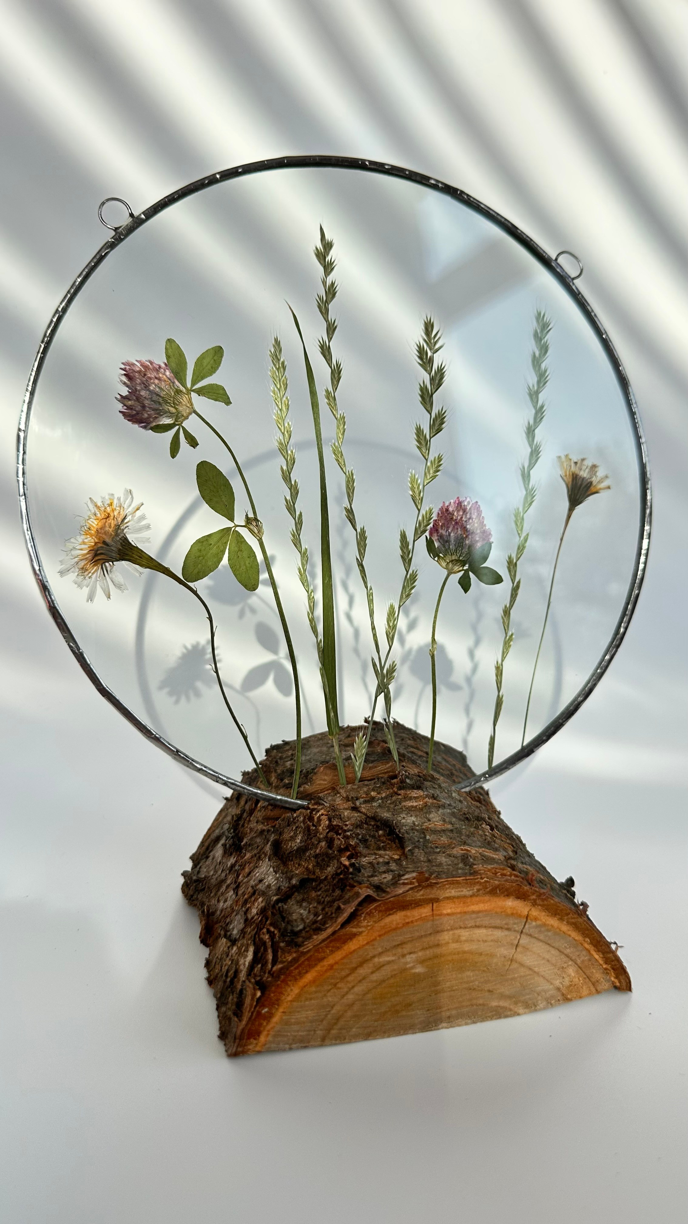 Гербарий полевые цветы витраж техника тиффани. Гербарий в стекле, интерьерные панно, витражи с сухоцветами в технике тиффани