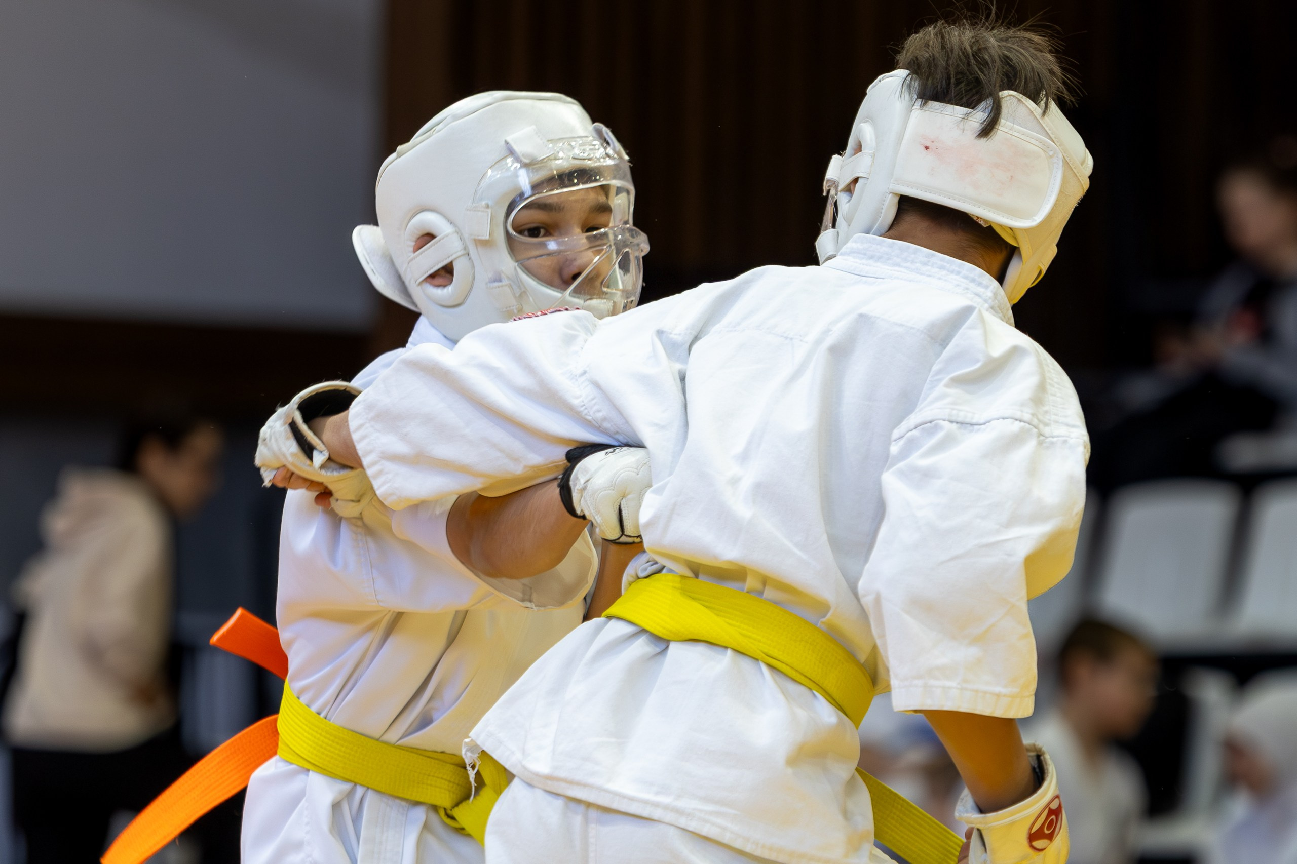 Карате кумите. Главная