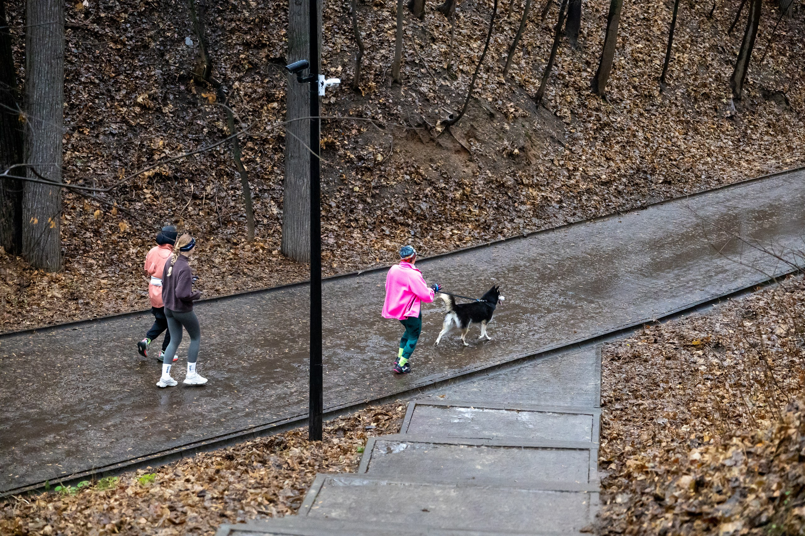Беговой клуб 5 вёрст. 15 ноября 2025. Главная