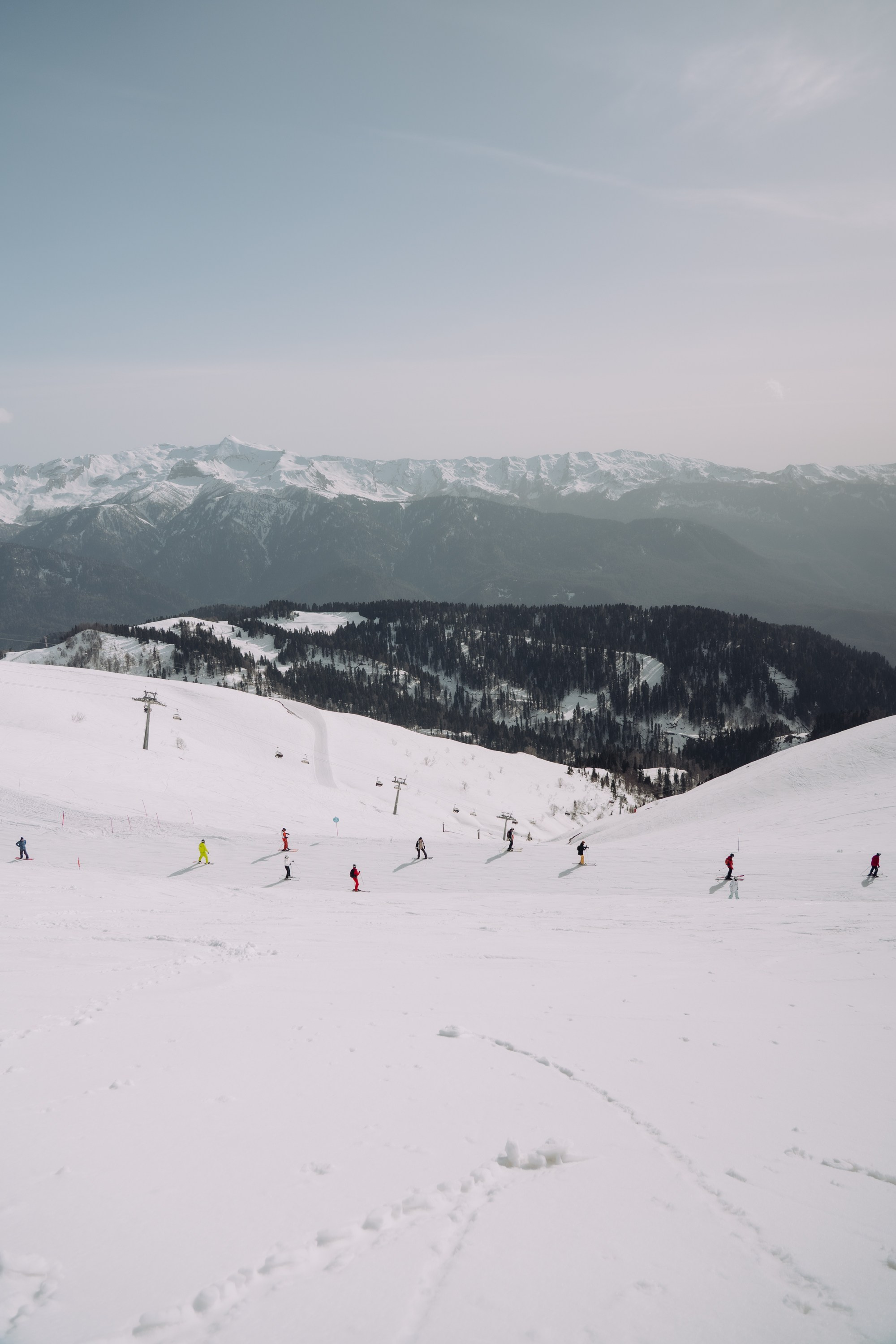 Yandex 360 & NewStarCamp