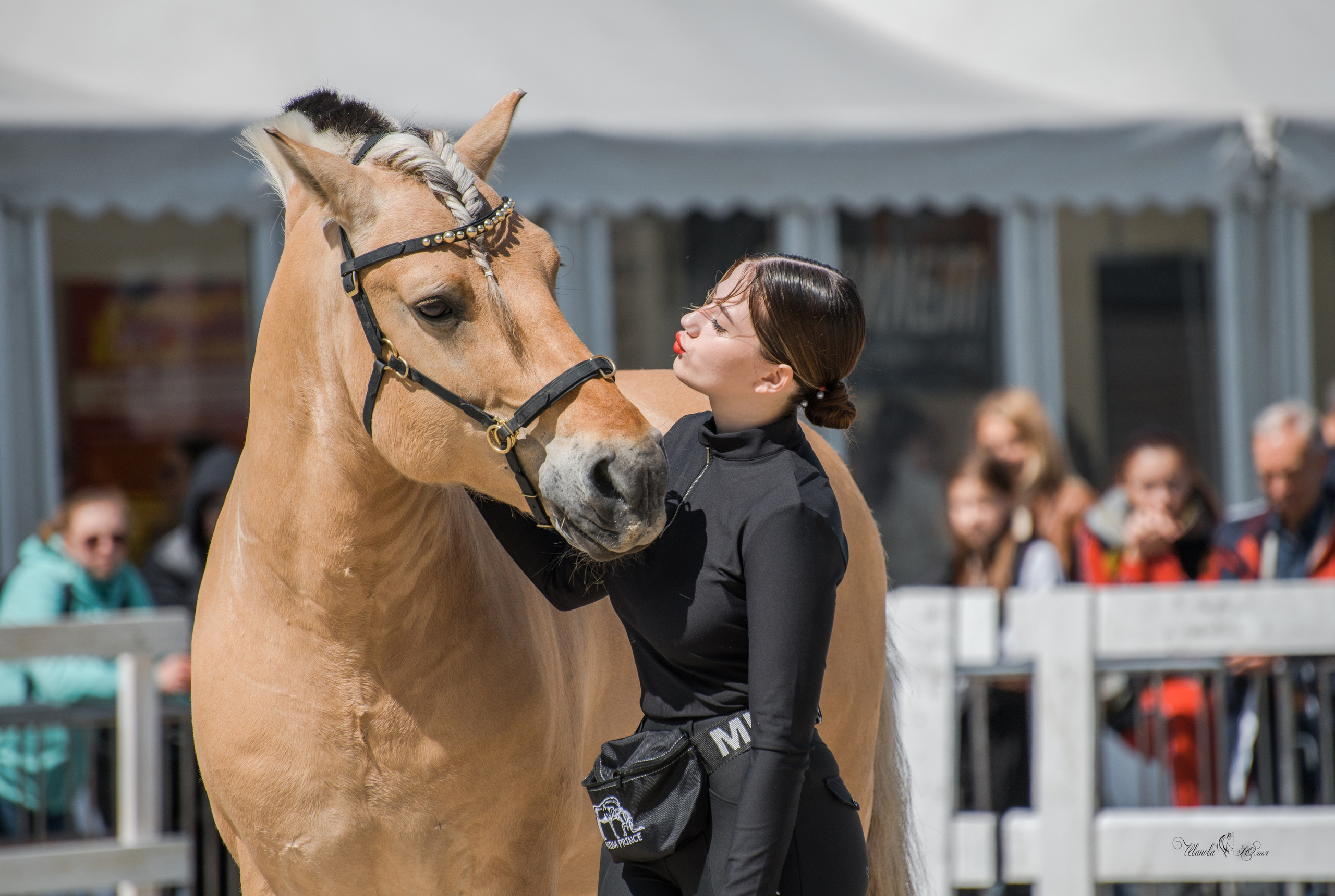 Эквирос, Москва. Конный фотограф в Саратове Юлия Иванова