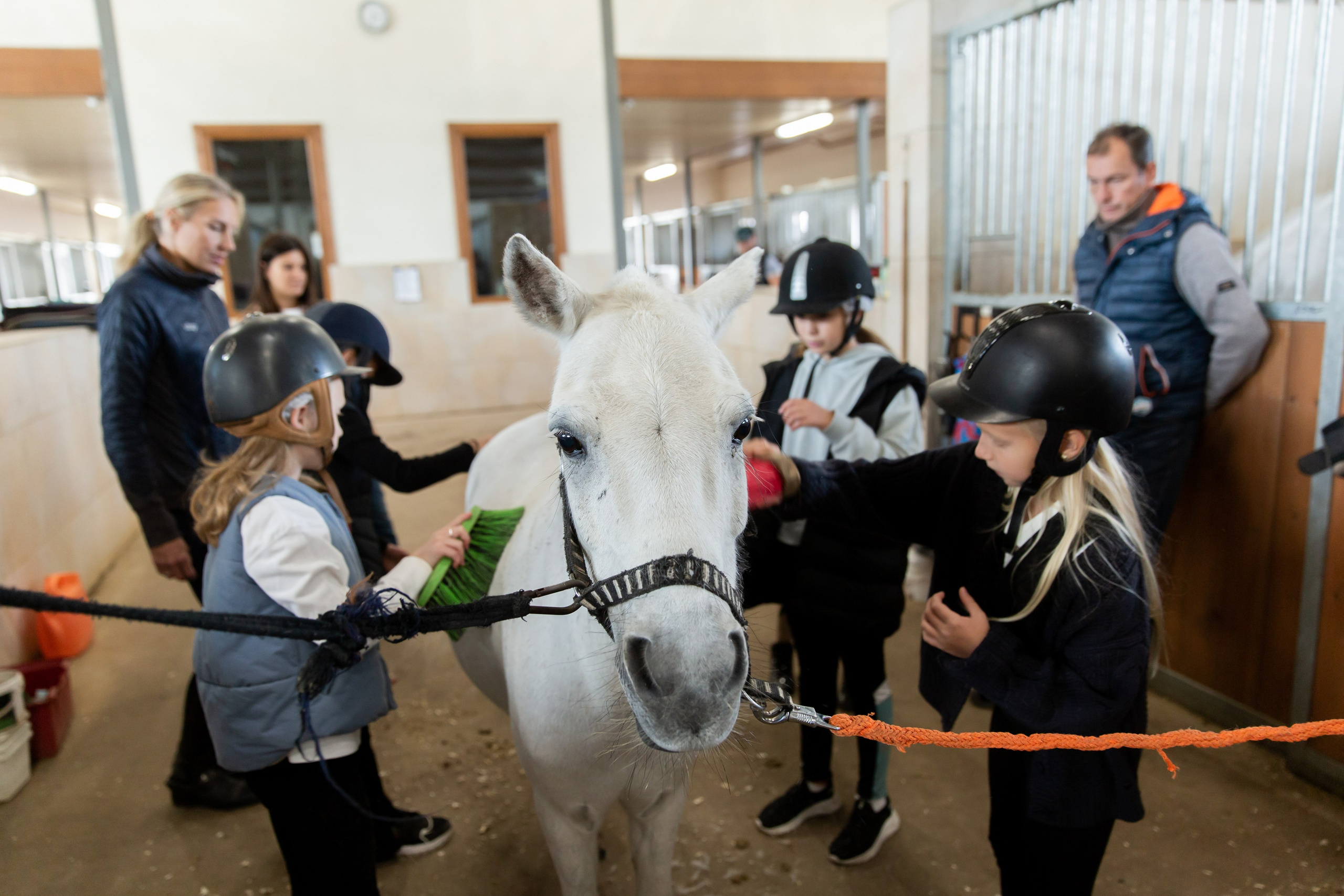 Конюшня. Снимаю съемки