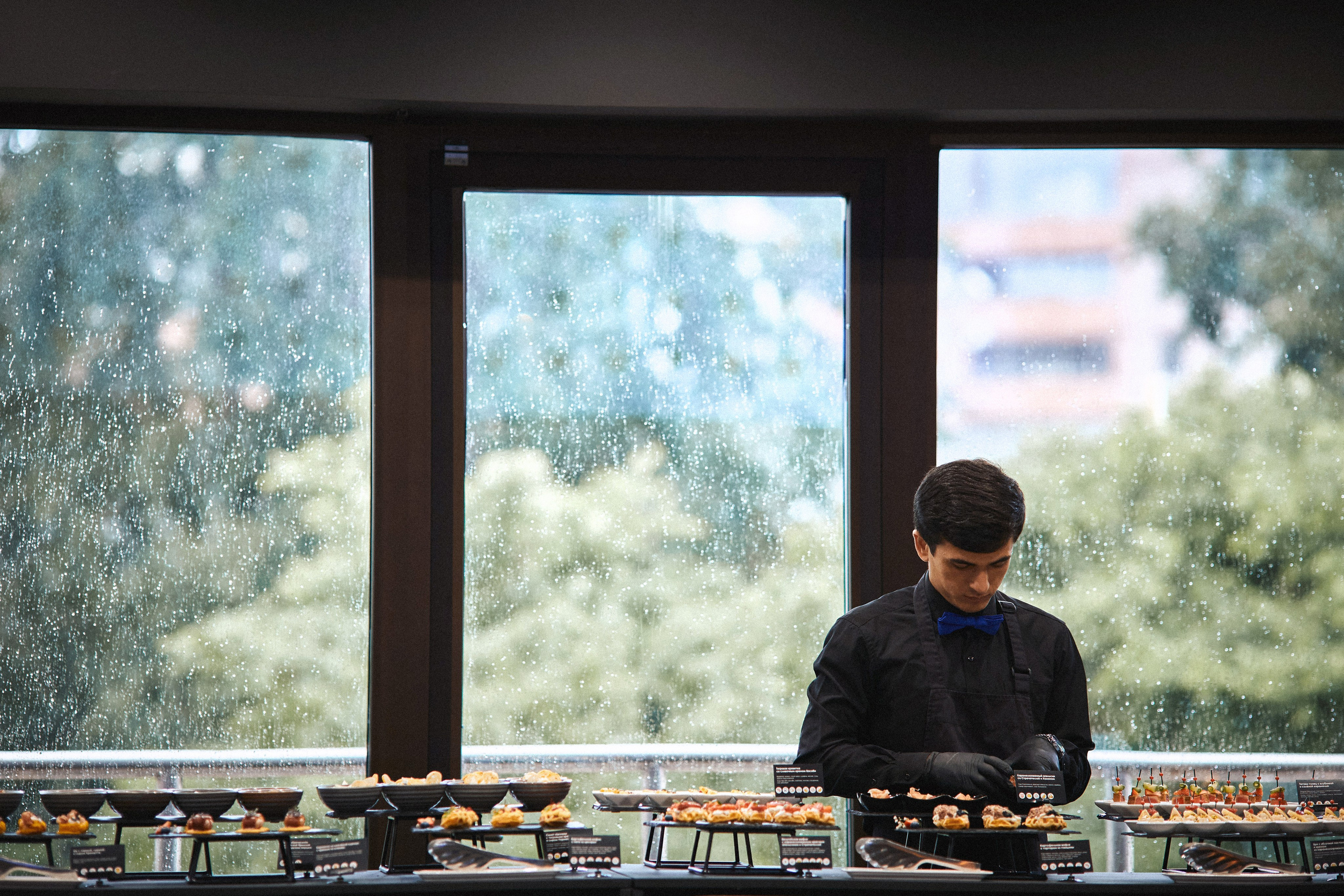 Презентация IT-проекта. Татьяна Фомичева. Репортажный и светский фотограф в Москве