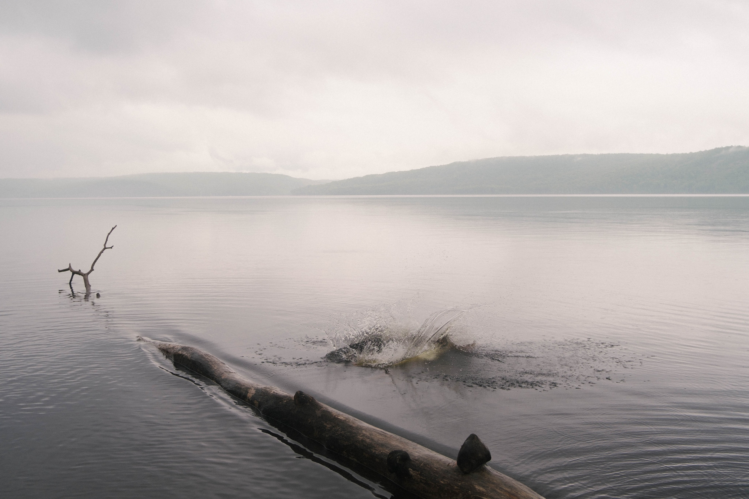8 июня. Фотограф Благовещенска Яна