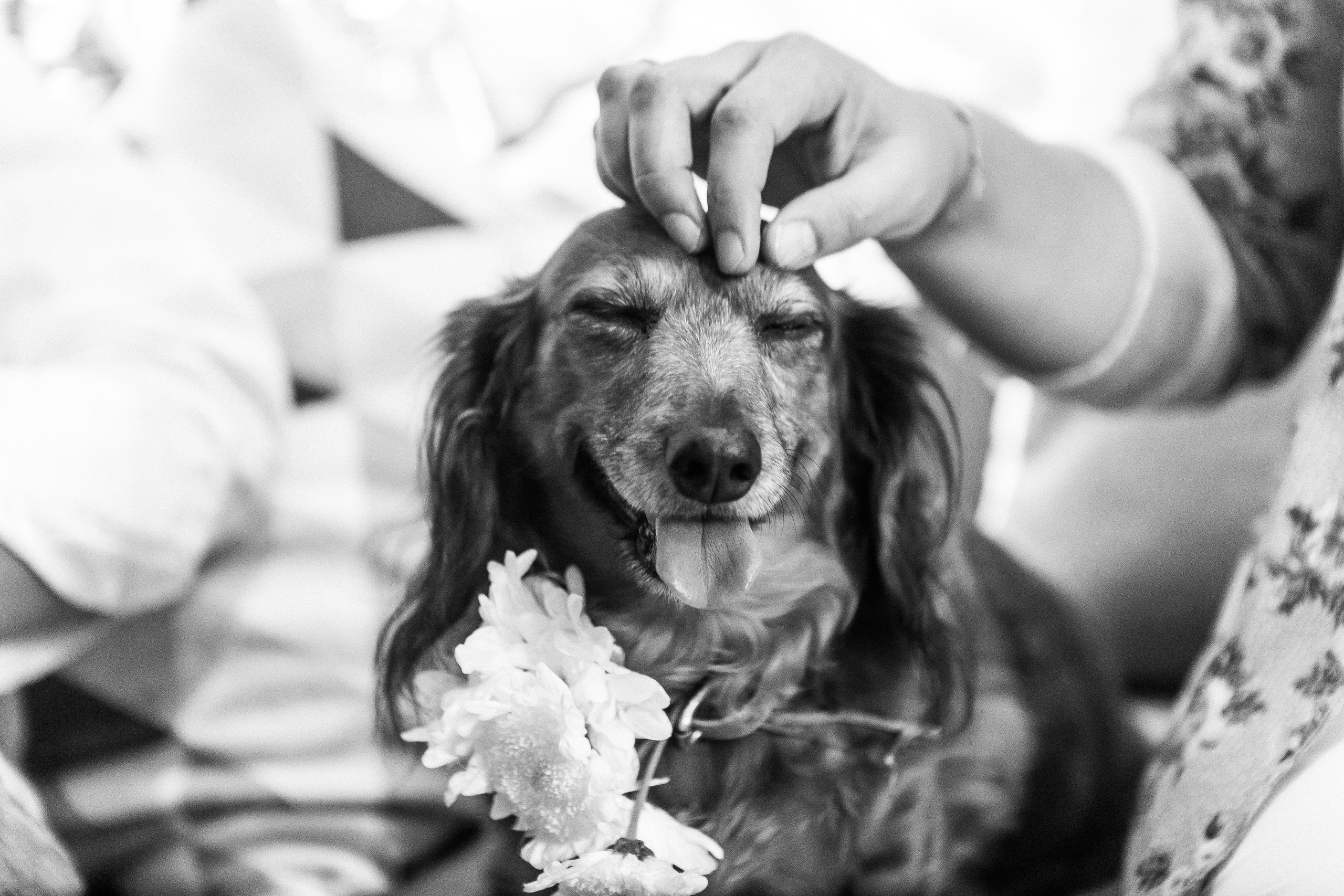 Blessing Way de Lily. Irina Krokhaleva. Fotógrafa de familias y parejas en Ekaterimburg, Rusia