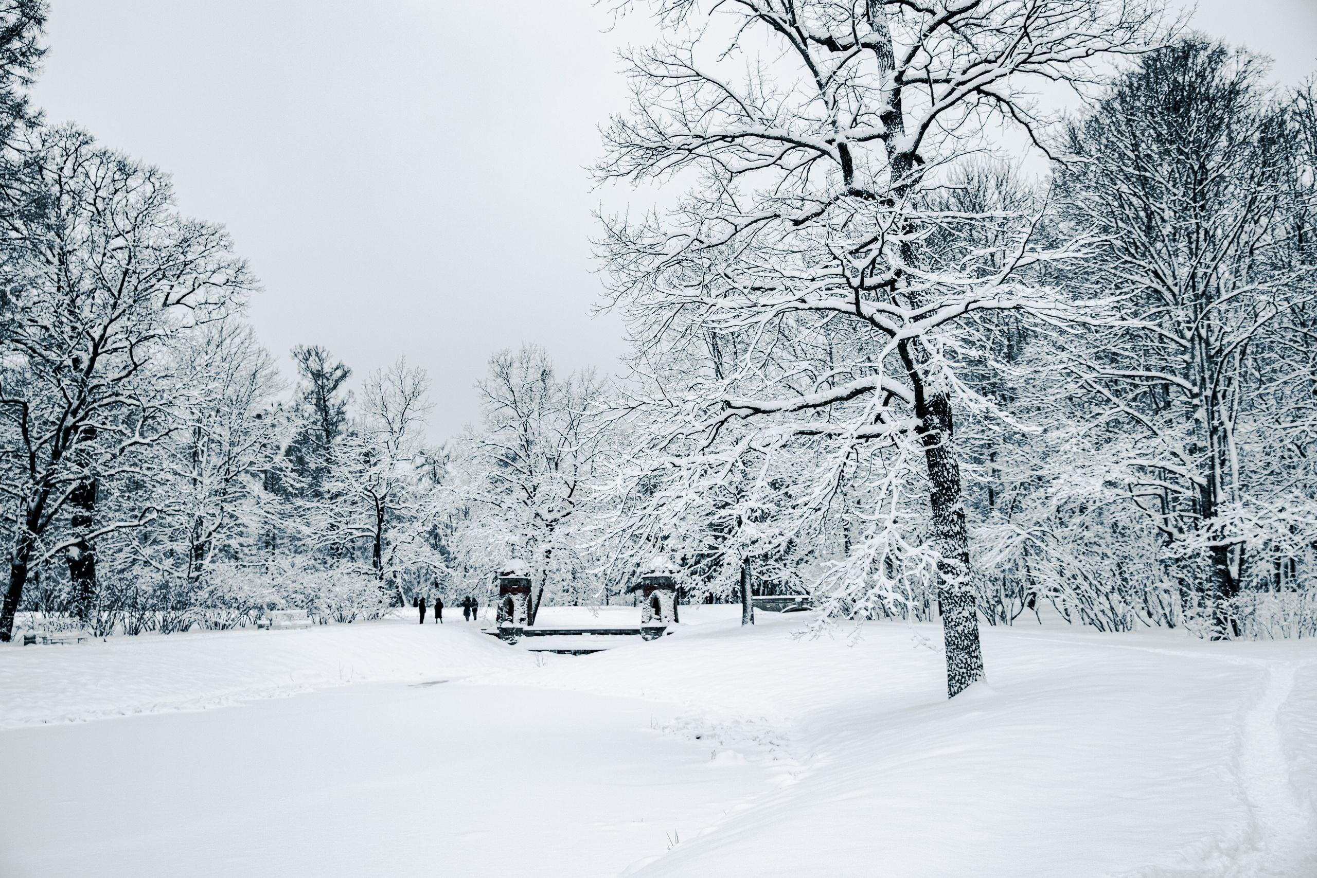 Фото с прогулок и с поездок на Кольский полуостров