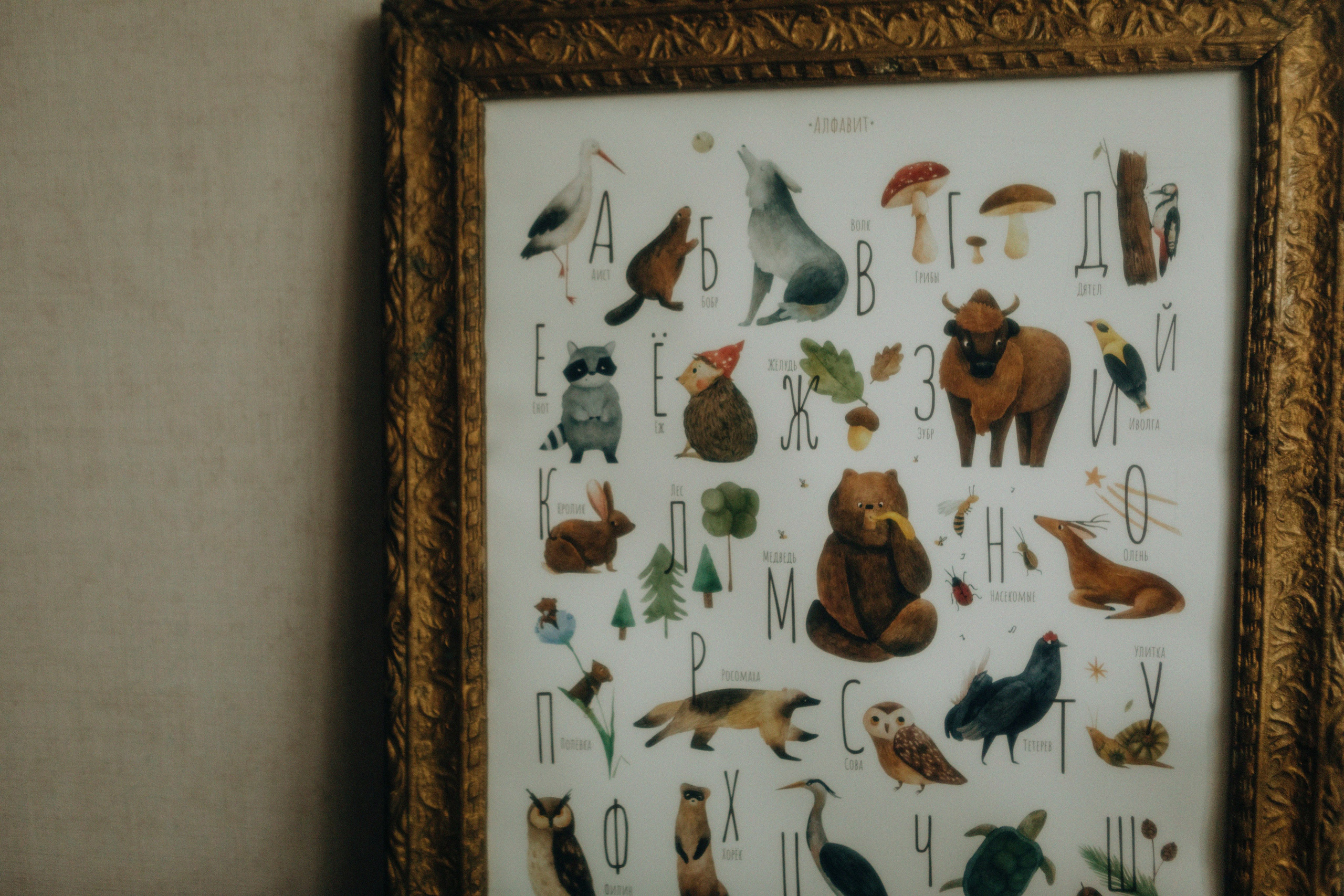 Нежность. Свадебный и семейный фотограф Арестенко Анастасия