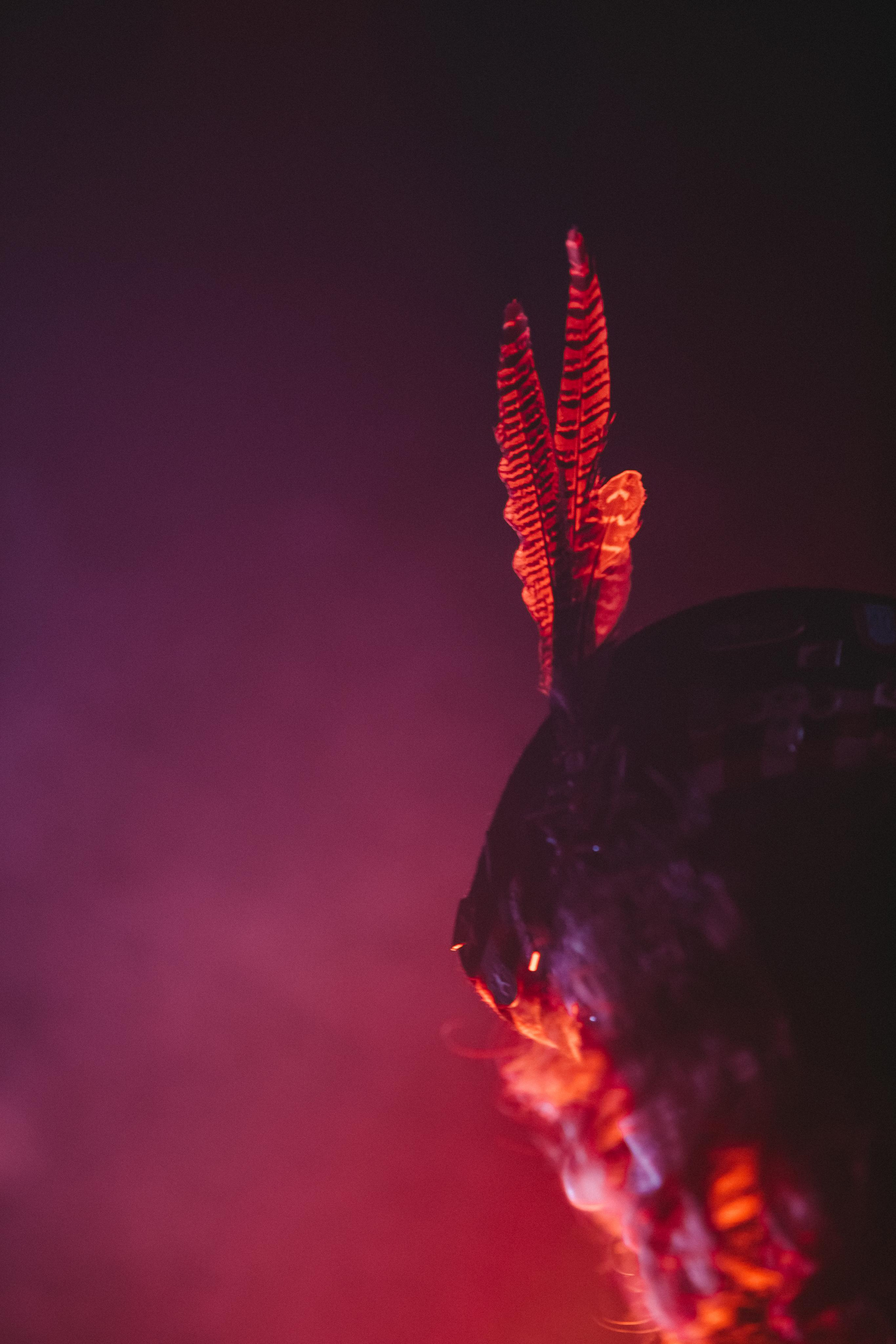 Группа Тинтал, клуб Glastonberry, г. Москва, 30.01.2