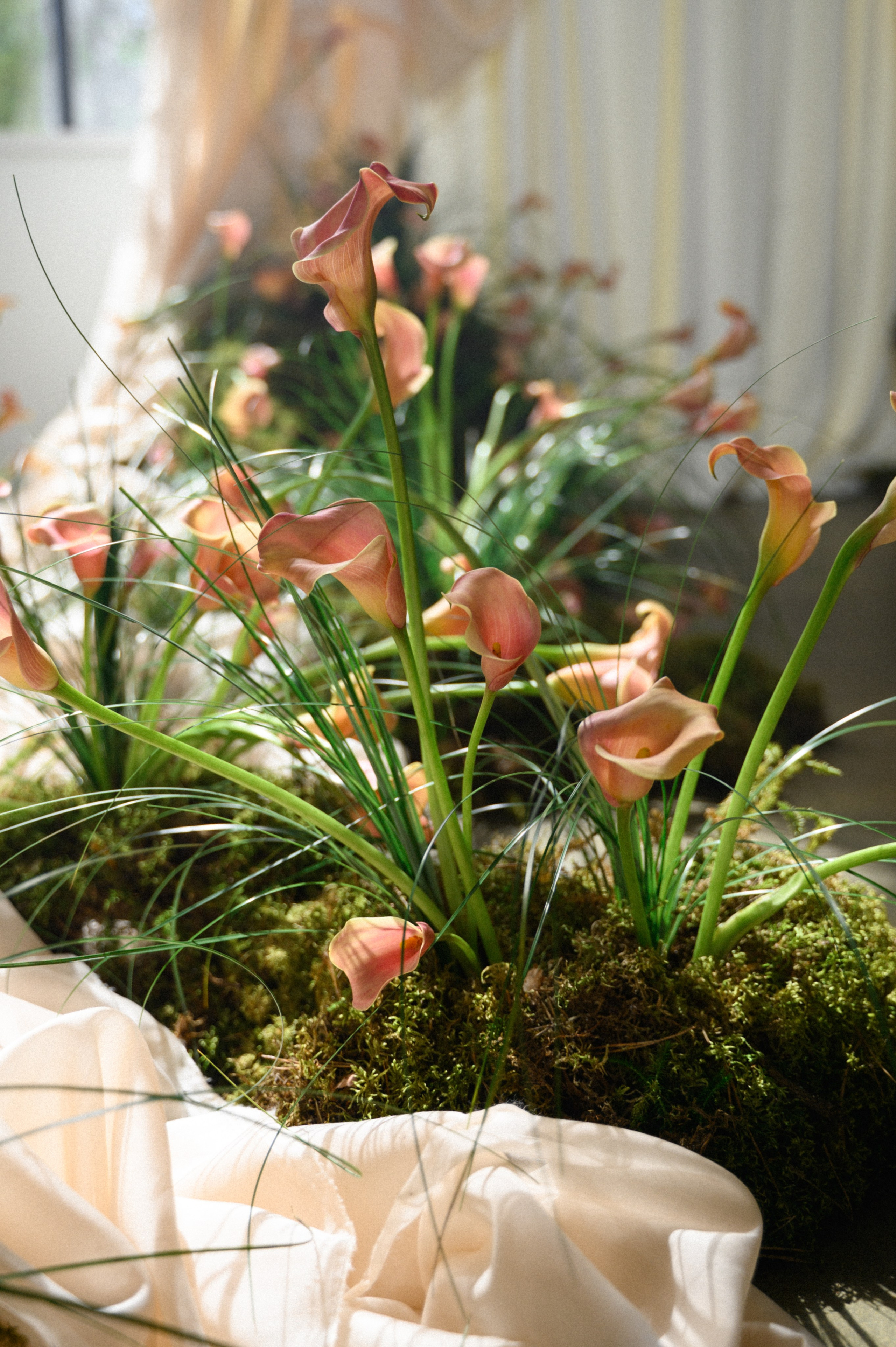 Иван и Наталья. Свадебный фотограф Минск