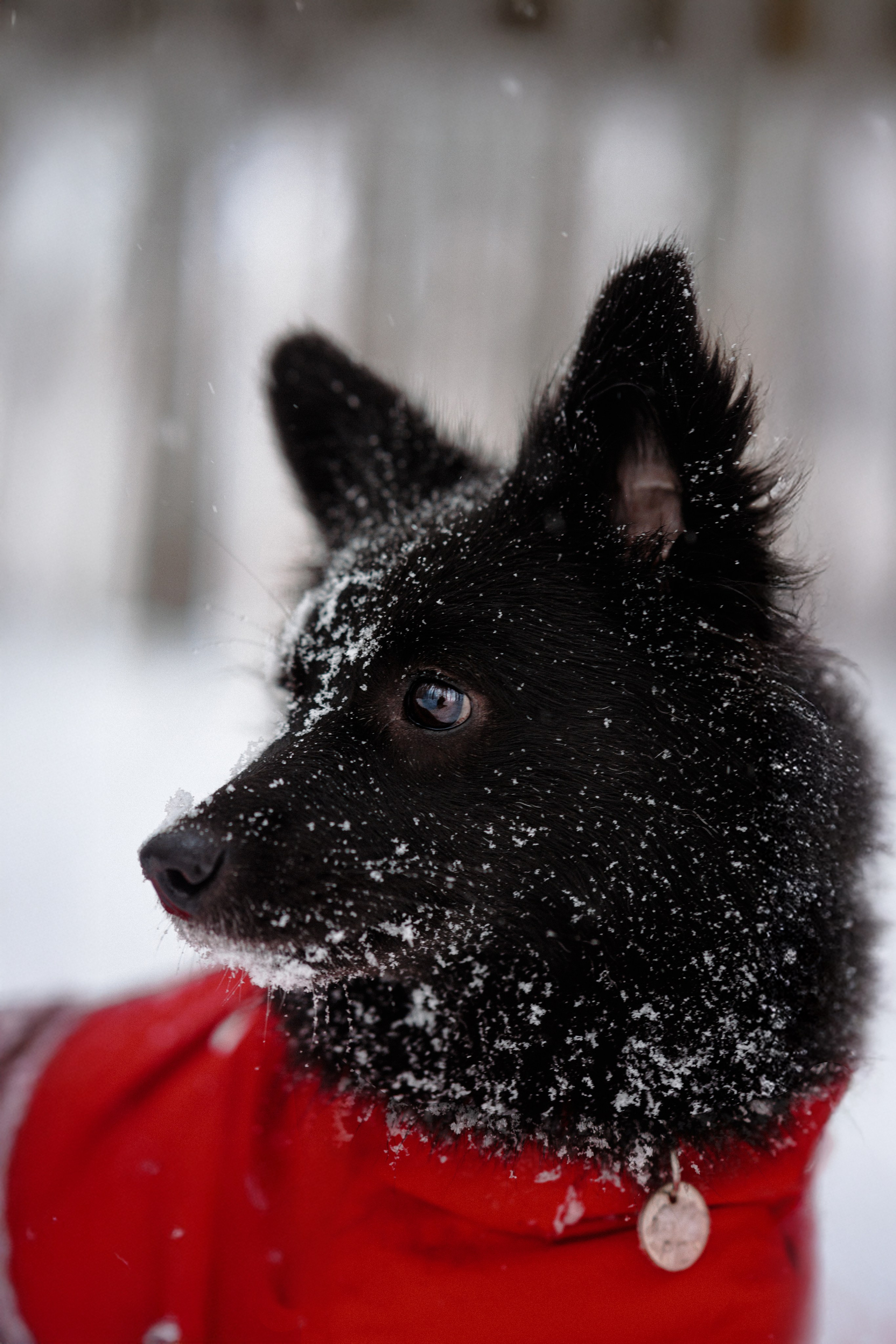 Сестры. Фотограф в Санкт-Петербурге Алёна Губинская