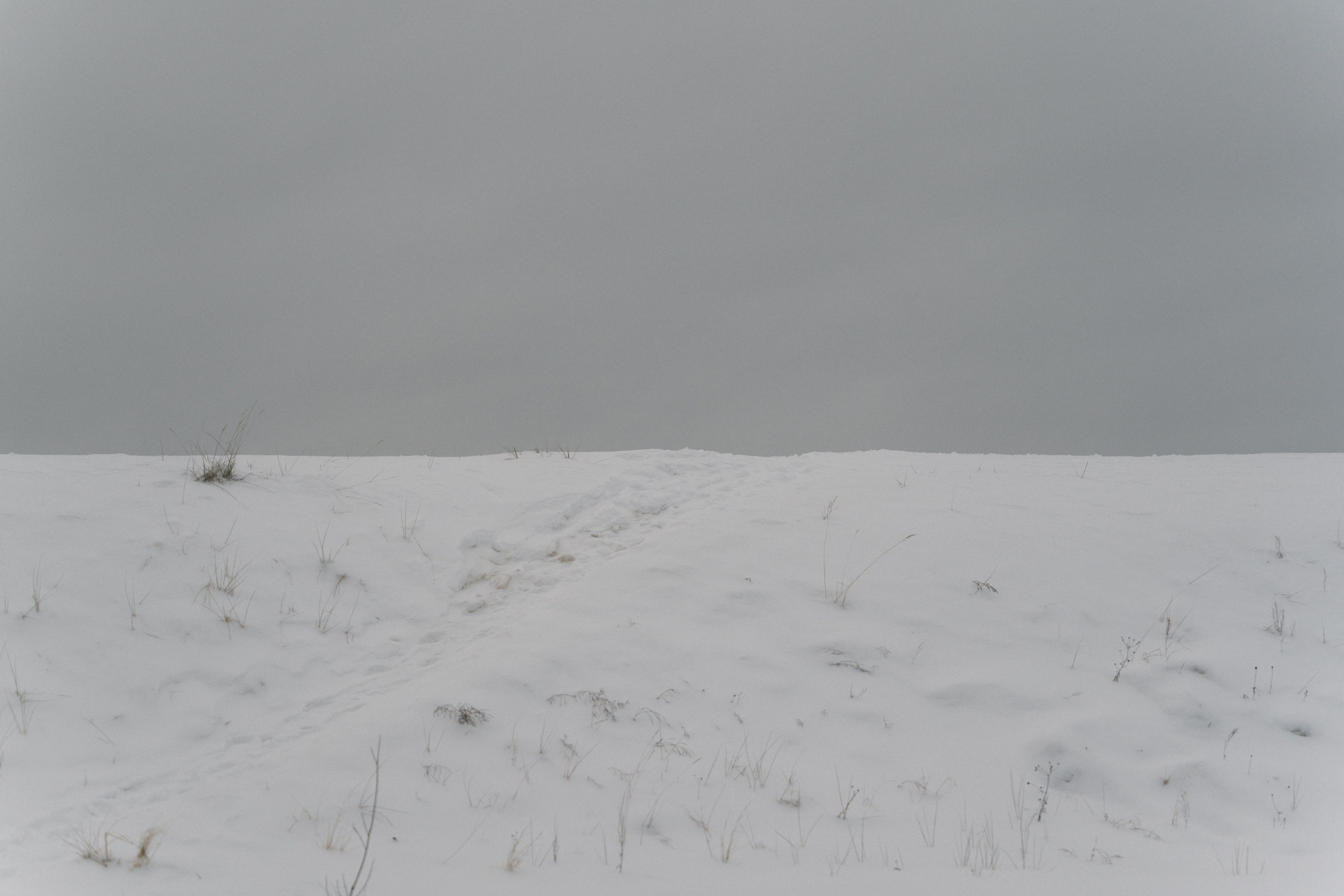 Уренгой, Октябрь 2024