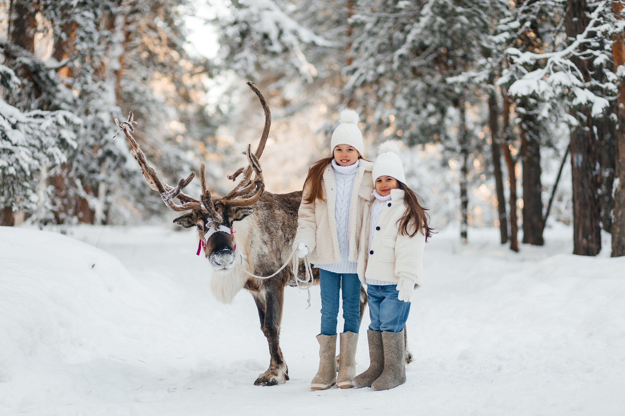 СЕВЕРНЫЙ ОЛЕНЬ. Свадебный и семейный фотограф Динар Гильмутдинов