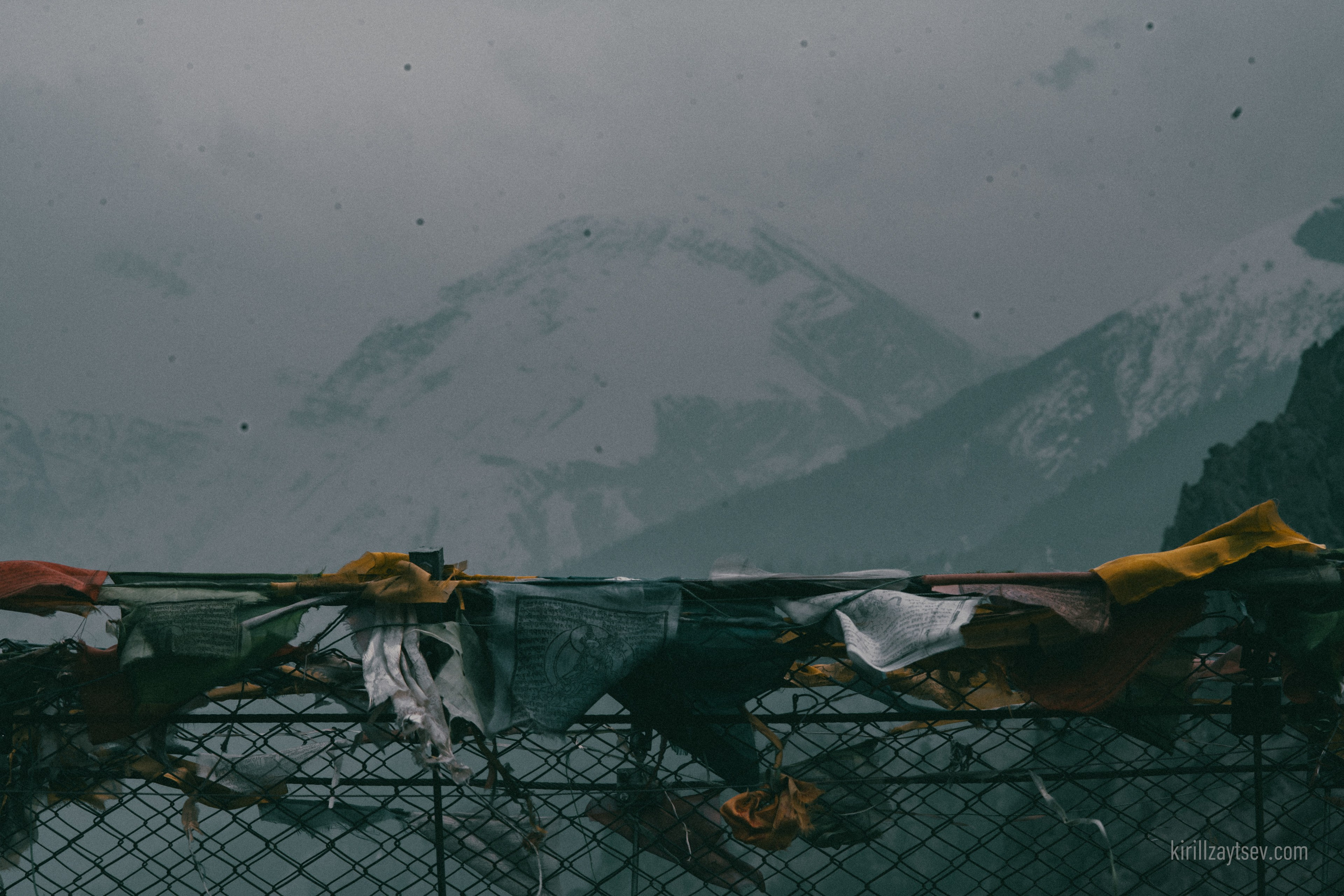 Жизнь. Профессиональный фотограф Кирилл Зайцев