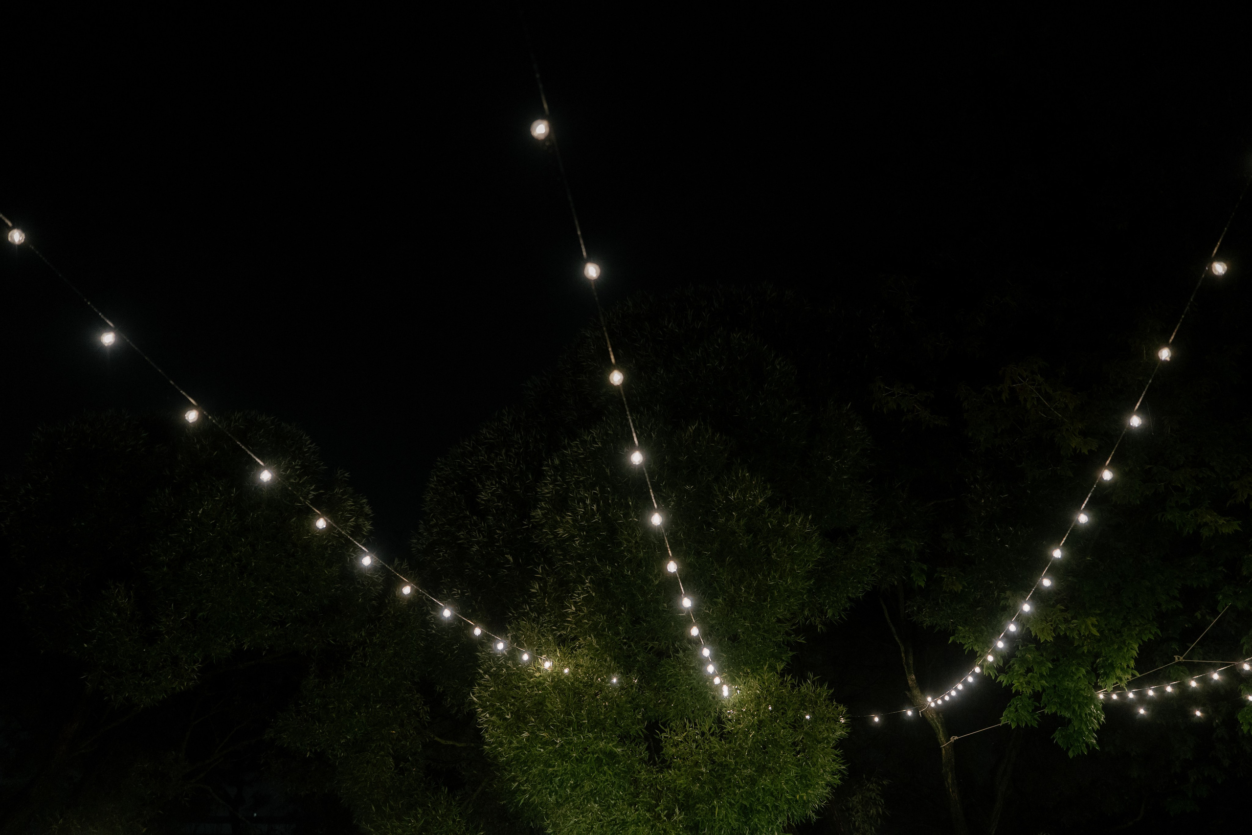 Юля и Миша. Свадебный и семейный фотограф в Москве и Красногорске — живые кадры | Анастасия Тихонова