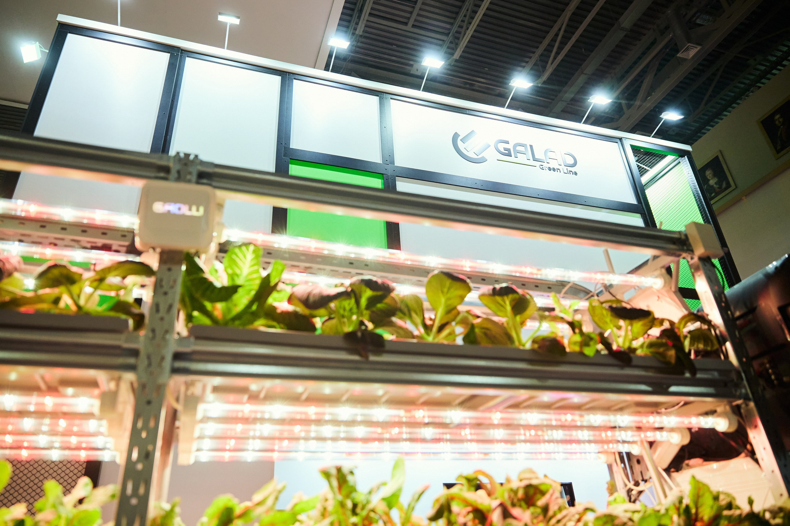 35. Фотограф Недорез Александр в Москве. Репортаж на ваших мероприятиях