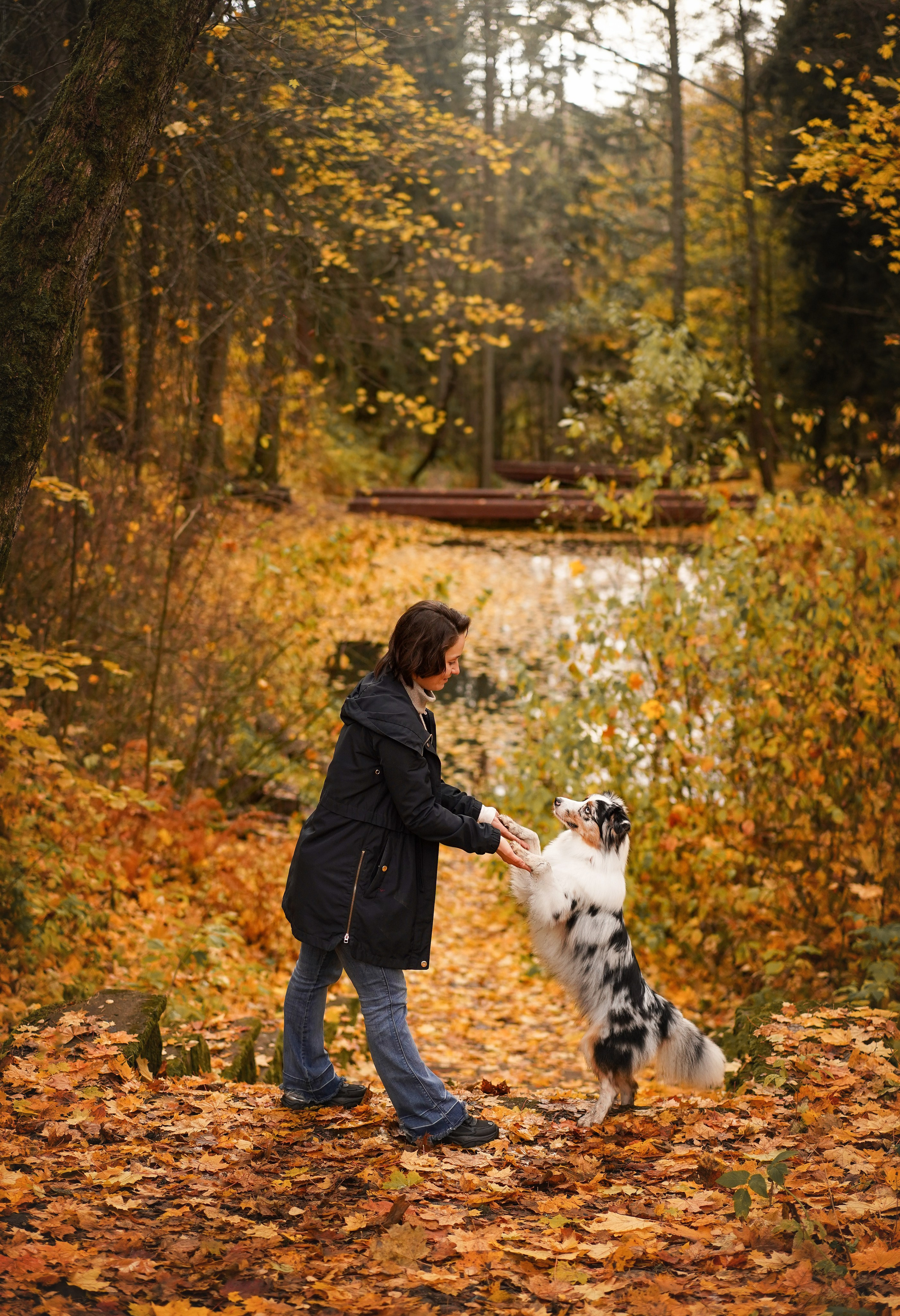Соня Гавриил и Юкки. Фотограф-анималист в Санкт-Петербурге Яна Мартынова