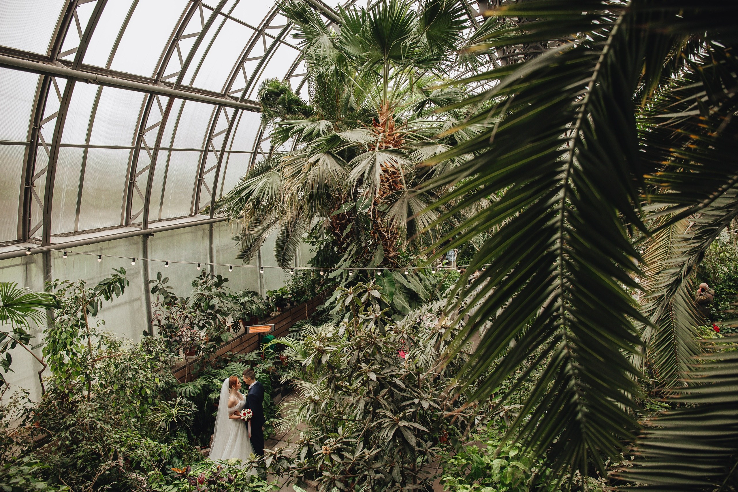 Оранжерея Таврического сада. Свадебный и семейный фотограф Пушкин Царское Село СПБ Питер Санкт-Петербург и Рязань Ольга Козлова