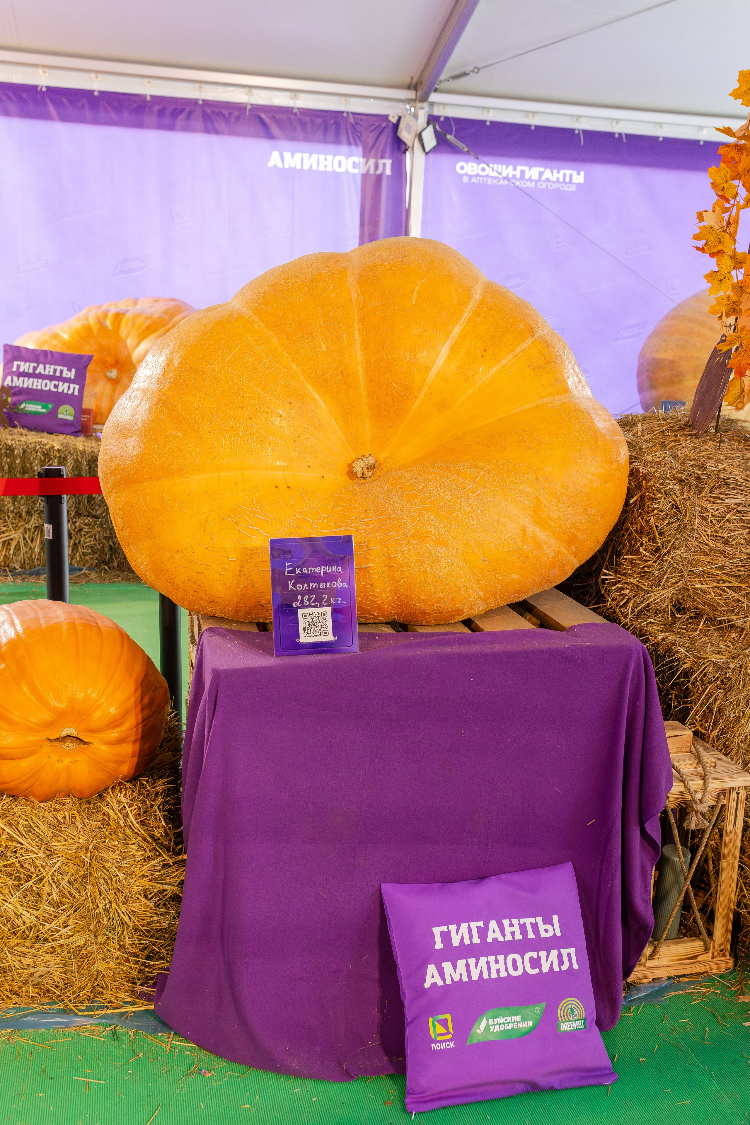 Овощи-гиганты. Александра Куликова фотограф, Москва