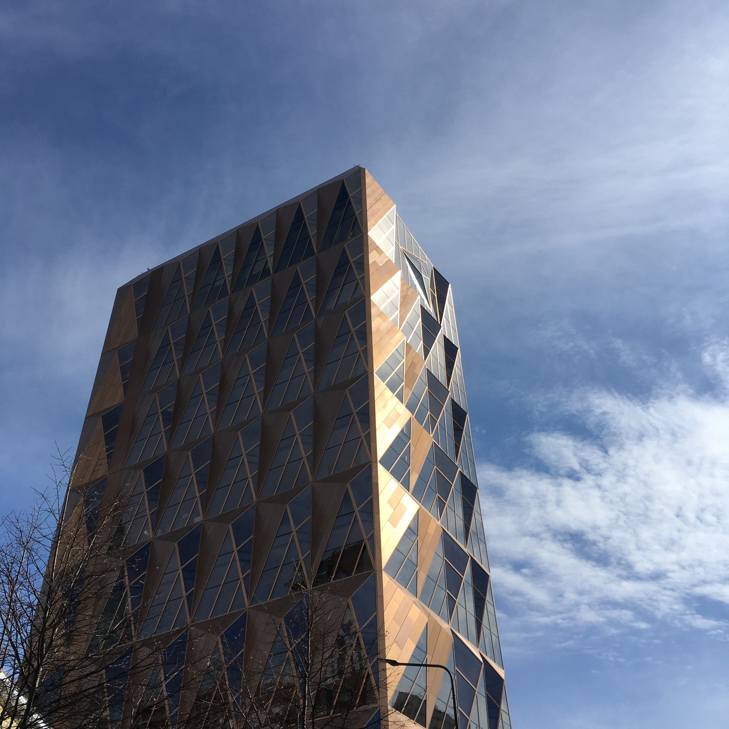 Солнечный. Фотограф в Санкт-Петербурге Березовский Даниил