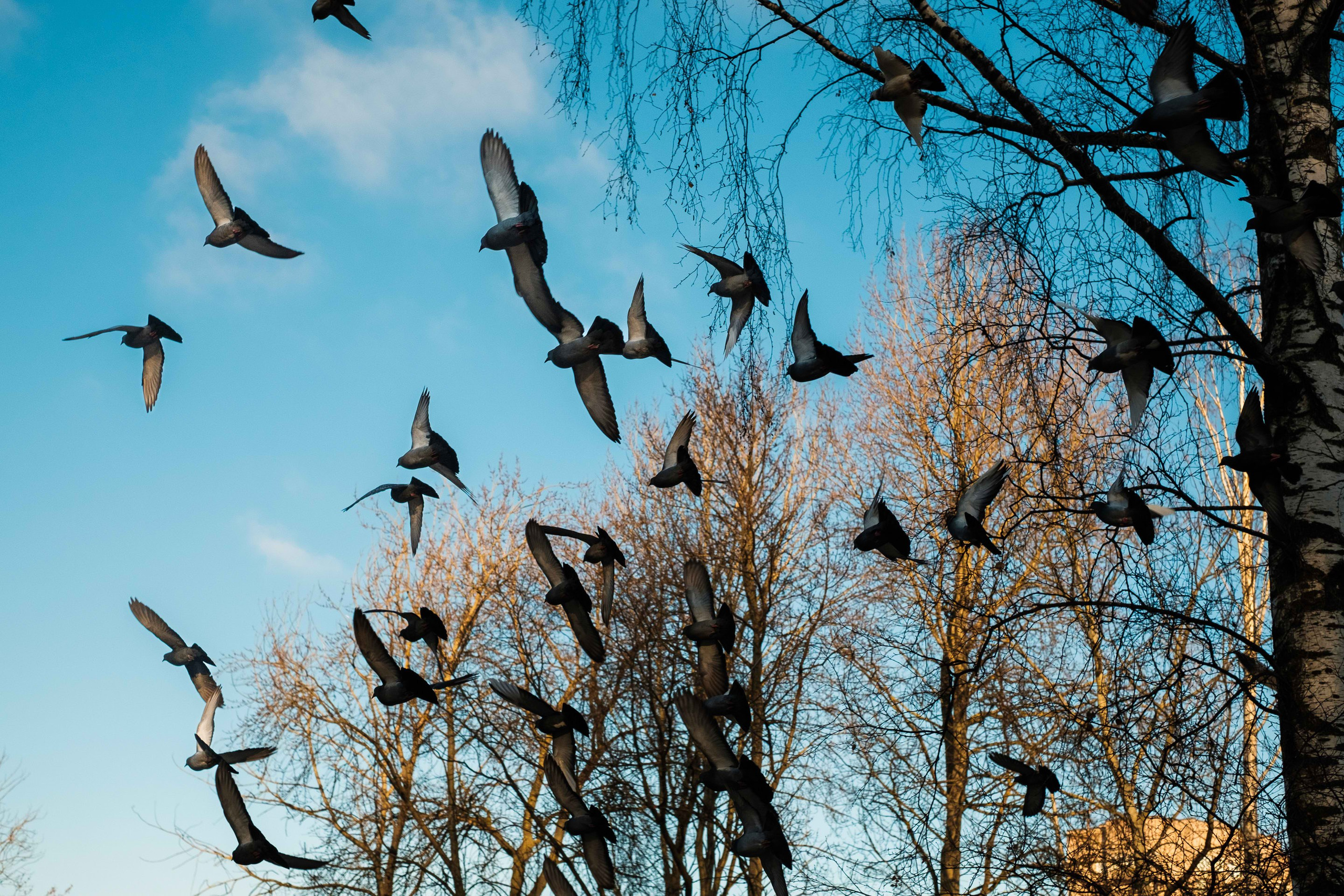 2021.11. Фотограф Алексей Алексеев