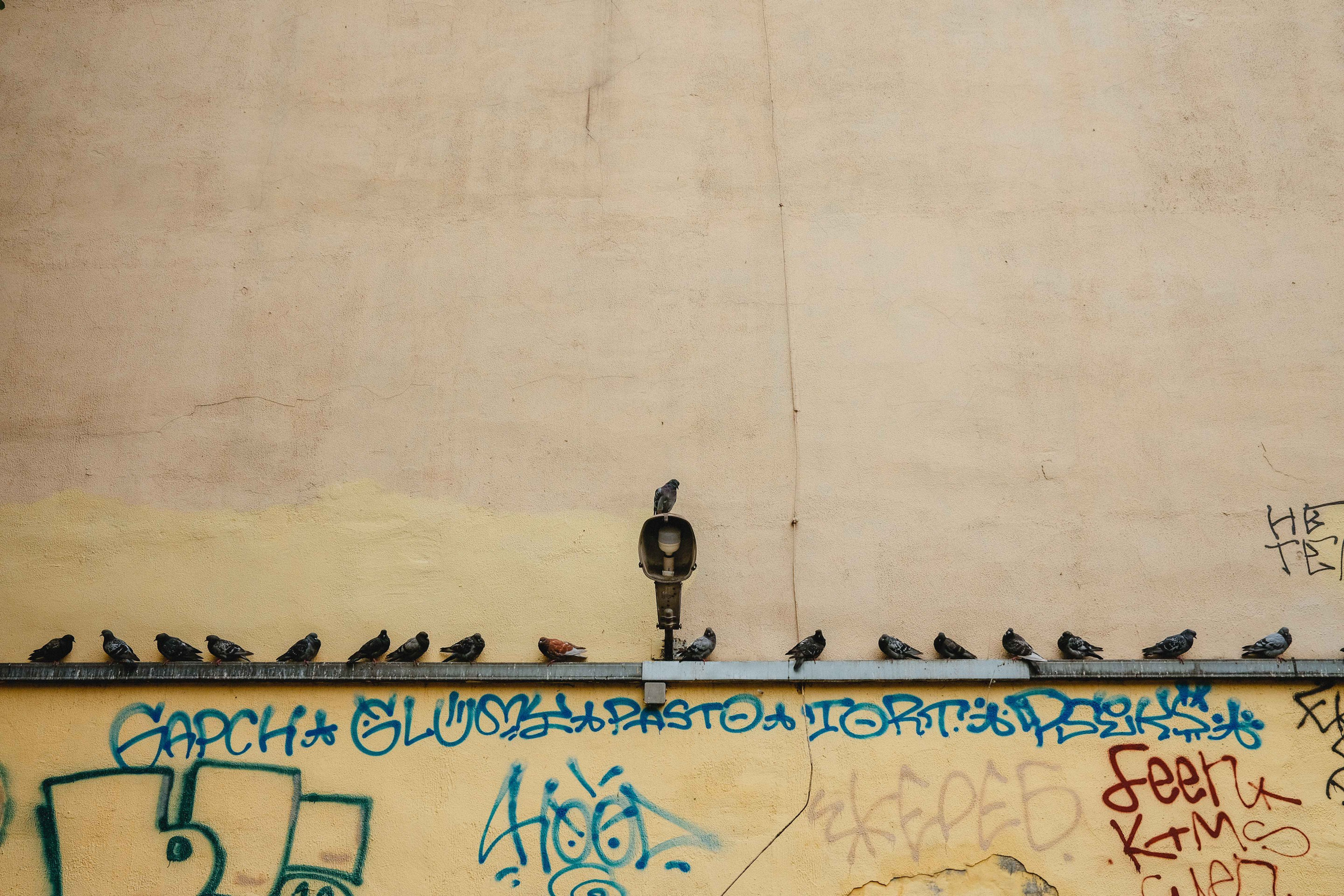 2023.07. Фотограф Алексей Алексеев