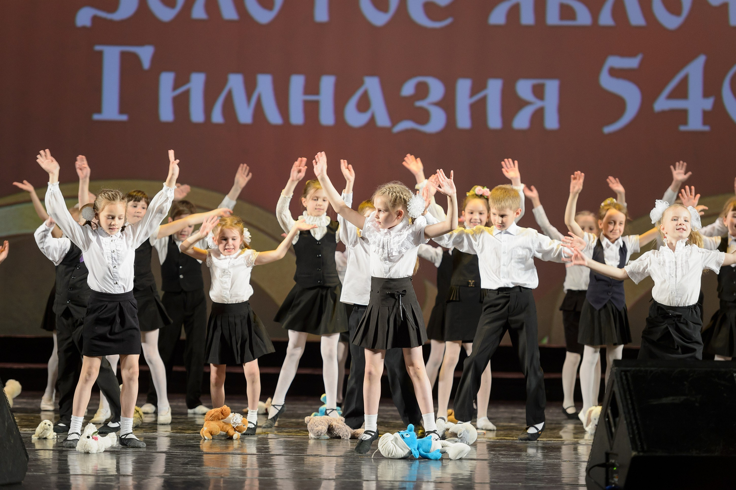 23 мая, концерт 5 лет, БКЗ. Золотое яблочко