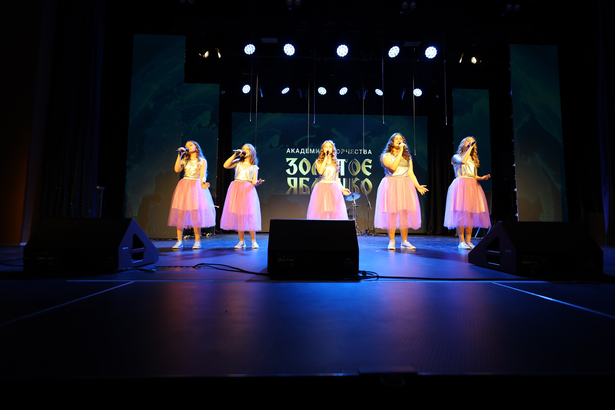 25 января, г. Челябинск. Золотое яблочко