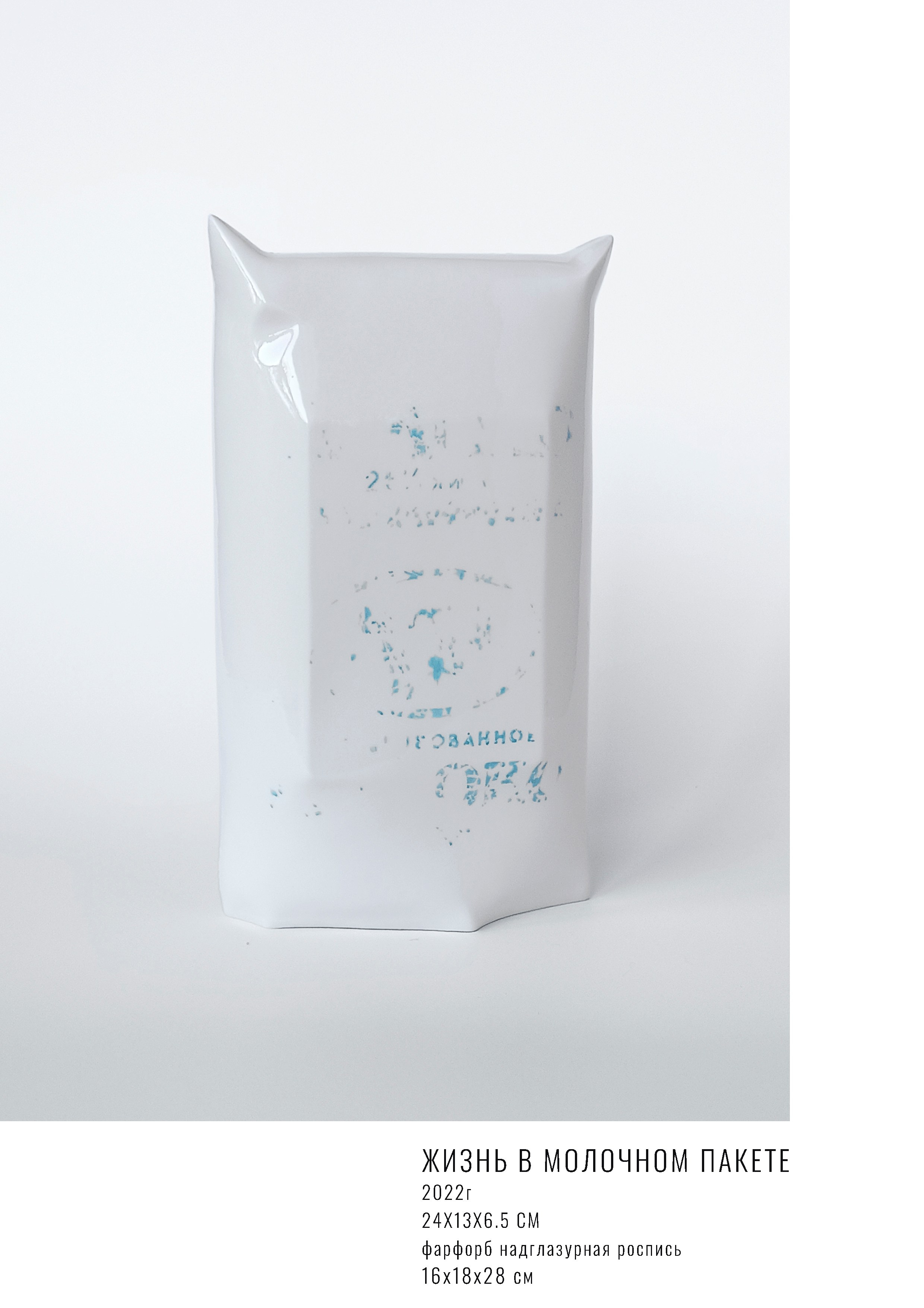 ЖИЗНЬ В МОЛОЧНОМ ПАКЕТЕ. Юлия Шабаева