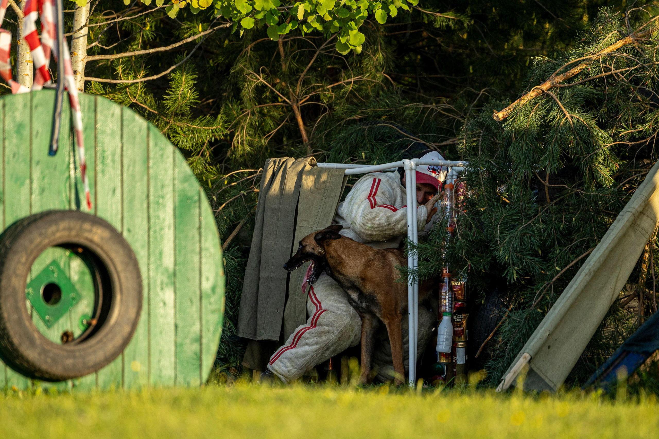 Испытания по мондьорингу в Нижнем Новгороде. Фотограф-анималист Анна Маринич