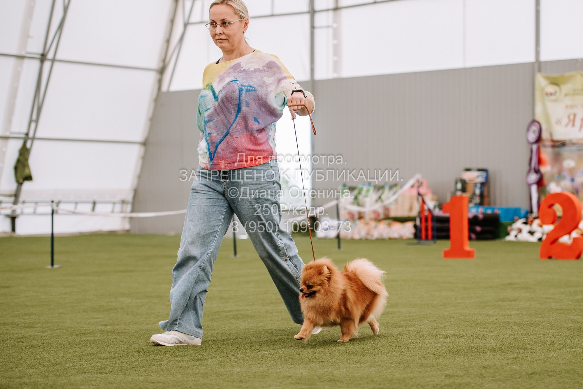 Выставка собак Красноярск 2.06. Фотограф Диана Оленина Красноярск / Братск
