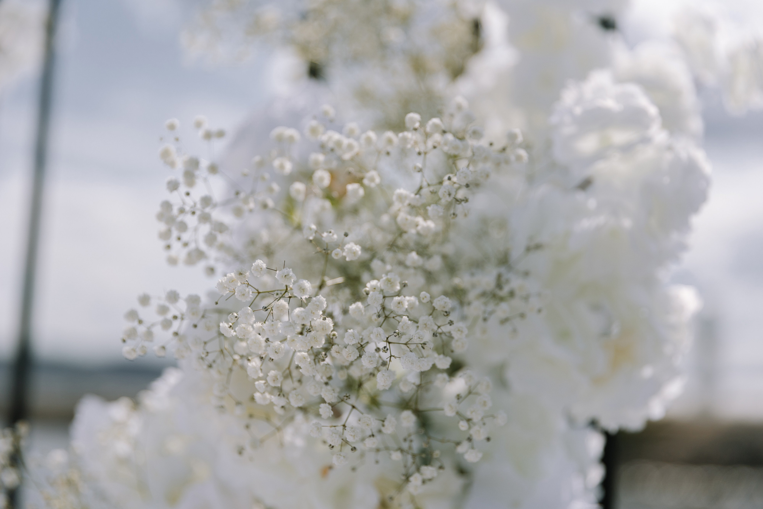 Маяк. Фотограф Елена Краснопевцева