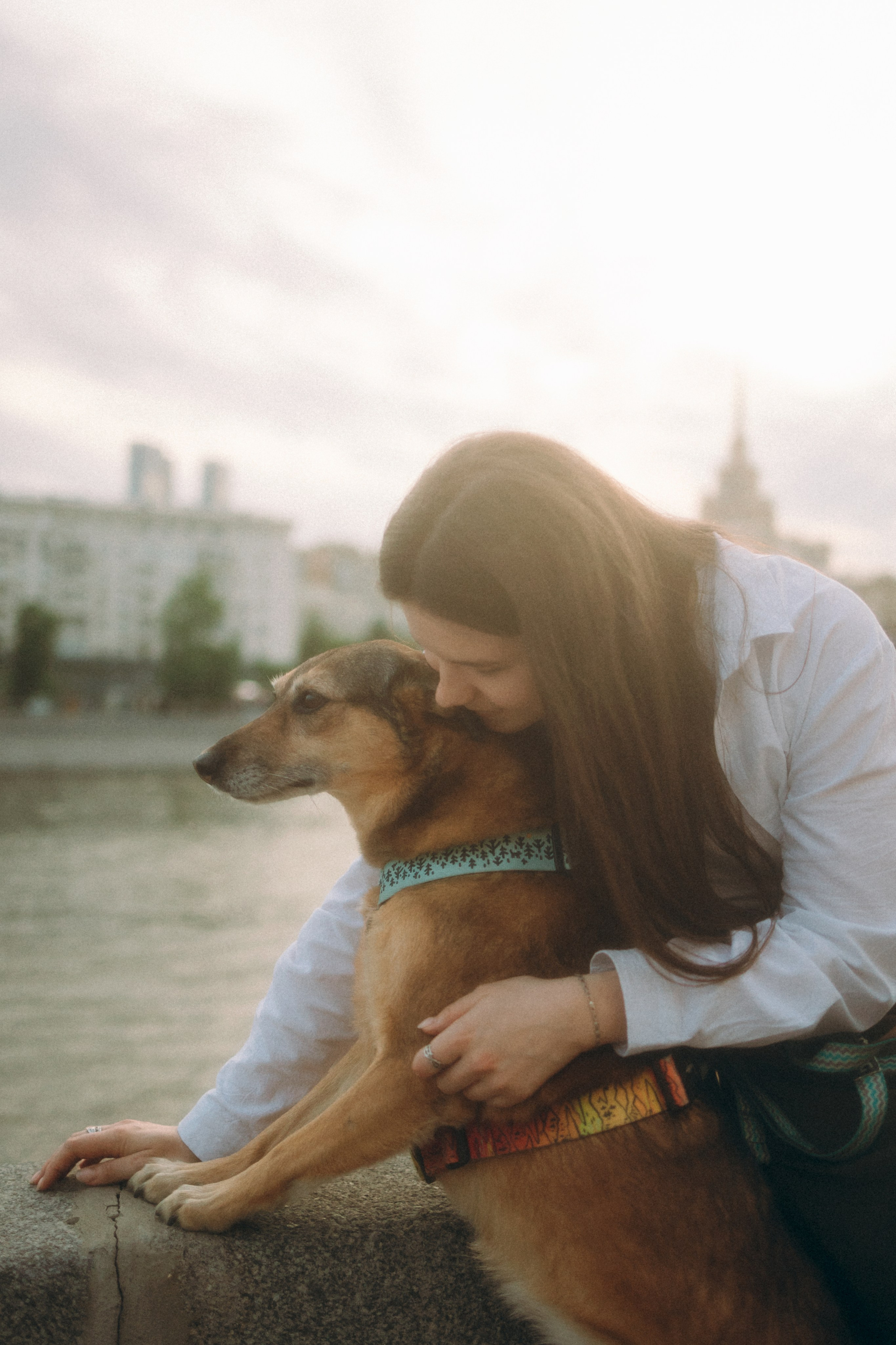 Глаша, Айрон, Ксюша и Оля. Фотограф анималист Анастасия Пикей