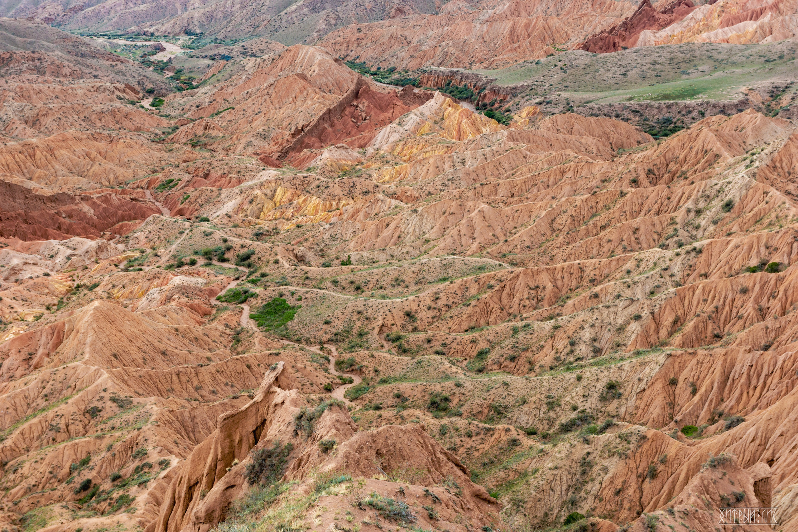 Киргизия. Фотограф-путешественник Самойлов Максим «Sly Fox»