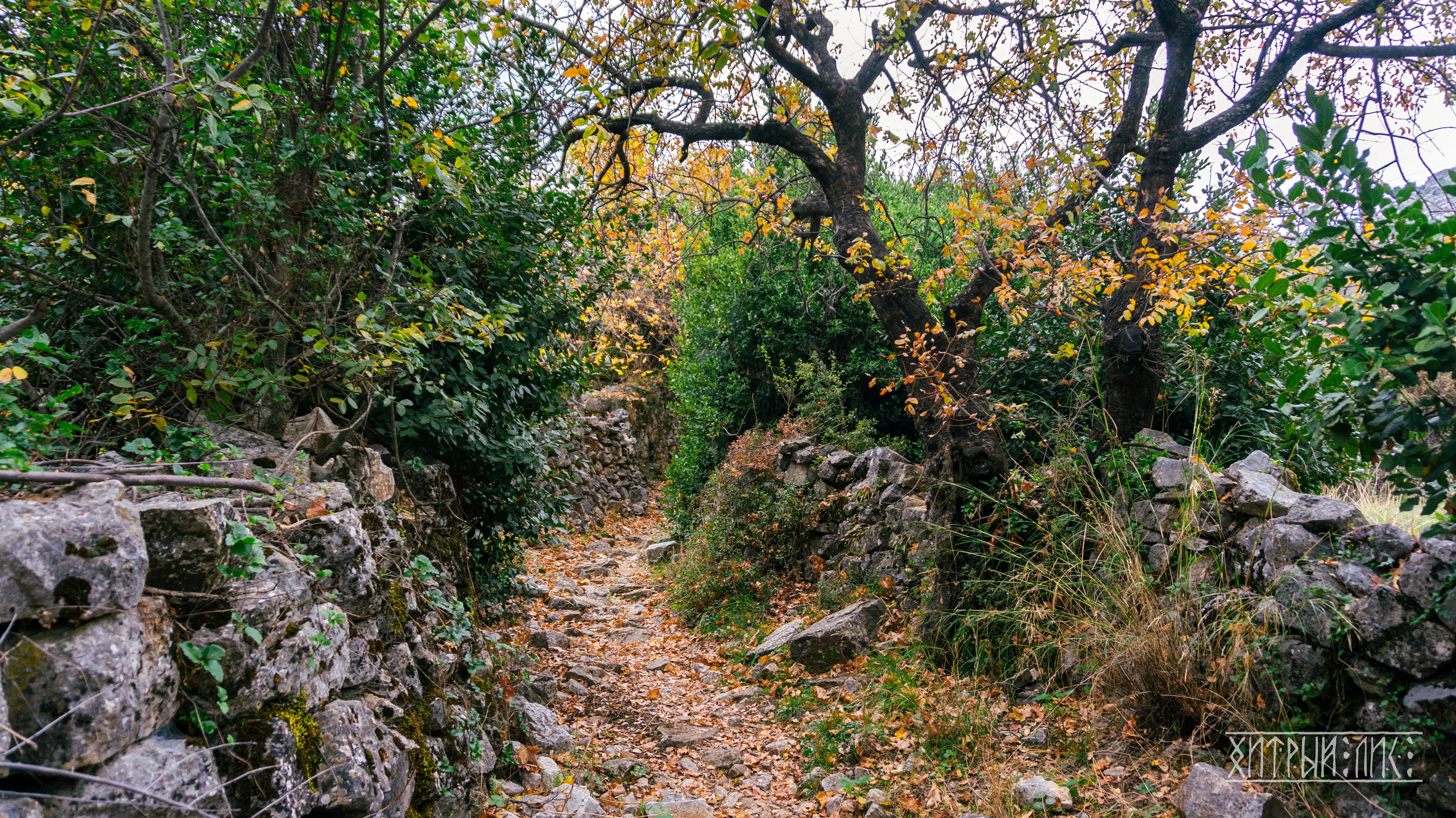 Турция. Ликийский путь. Фотограф-путешественник Самойлов Максим «Sly Fox»