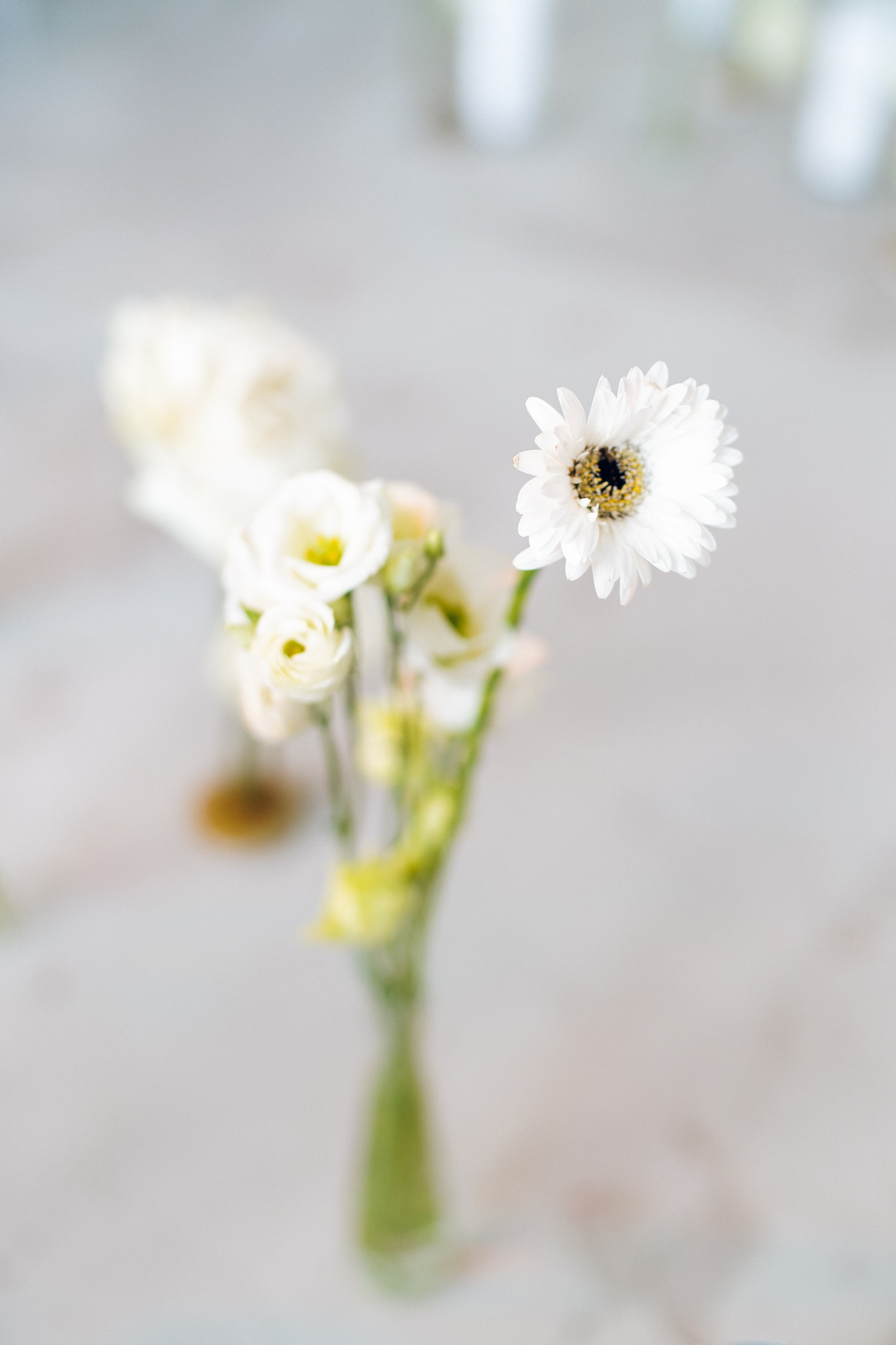 Поля. Свадебный, семейный и портретный фотограф в Москве, Маржан Кадышева