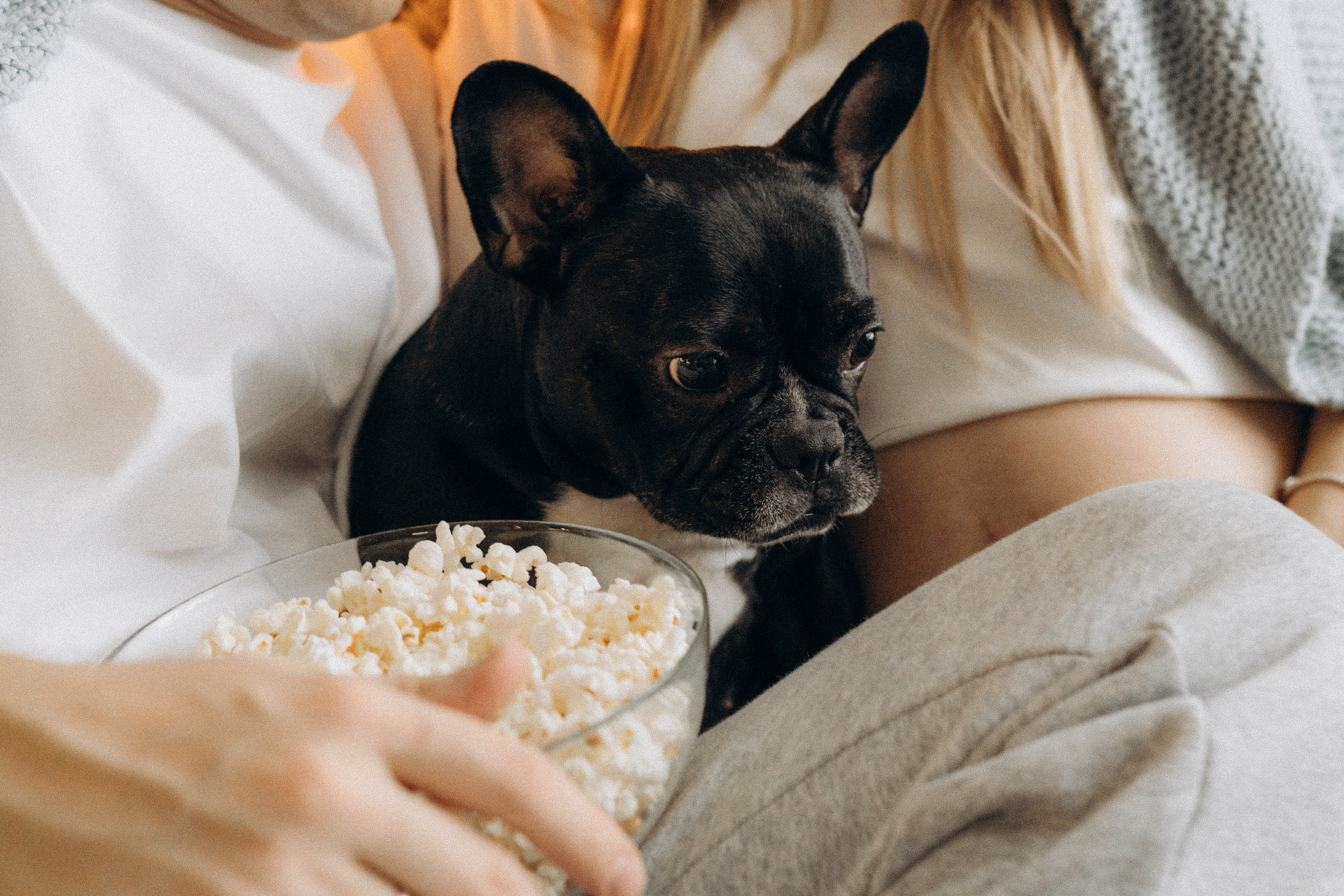 Женя и Максим. Семейный фотограф Юлия Котова
