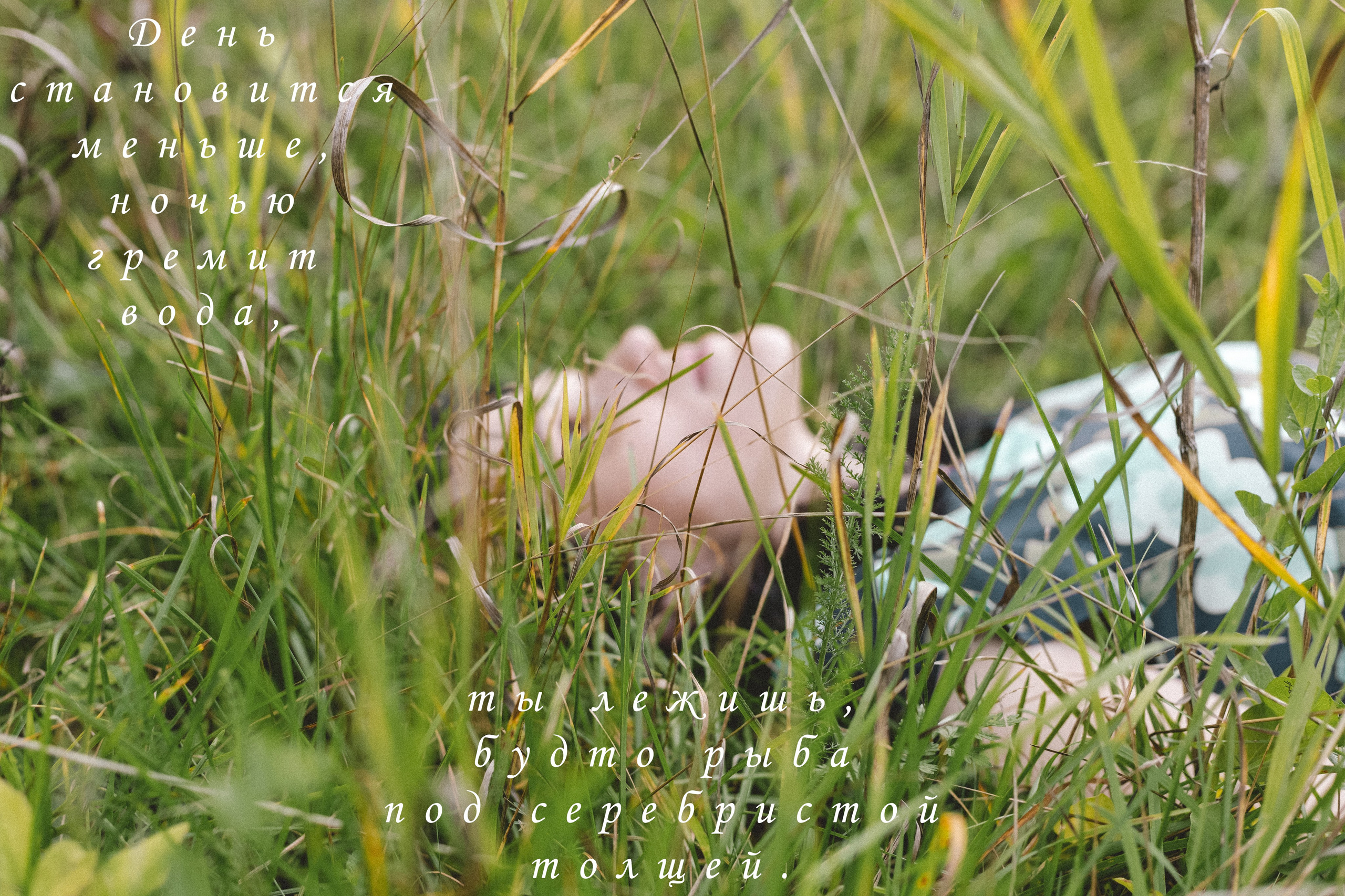 Август. Портфолио