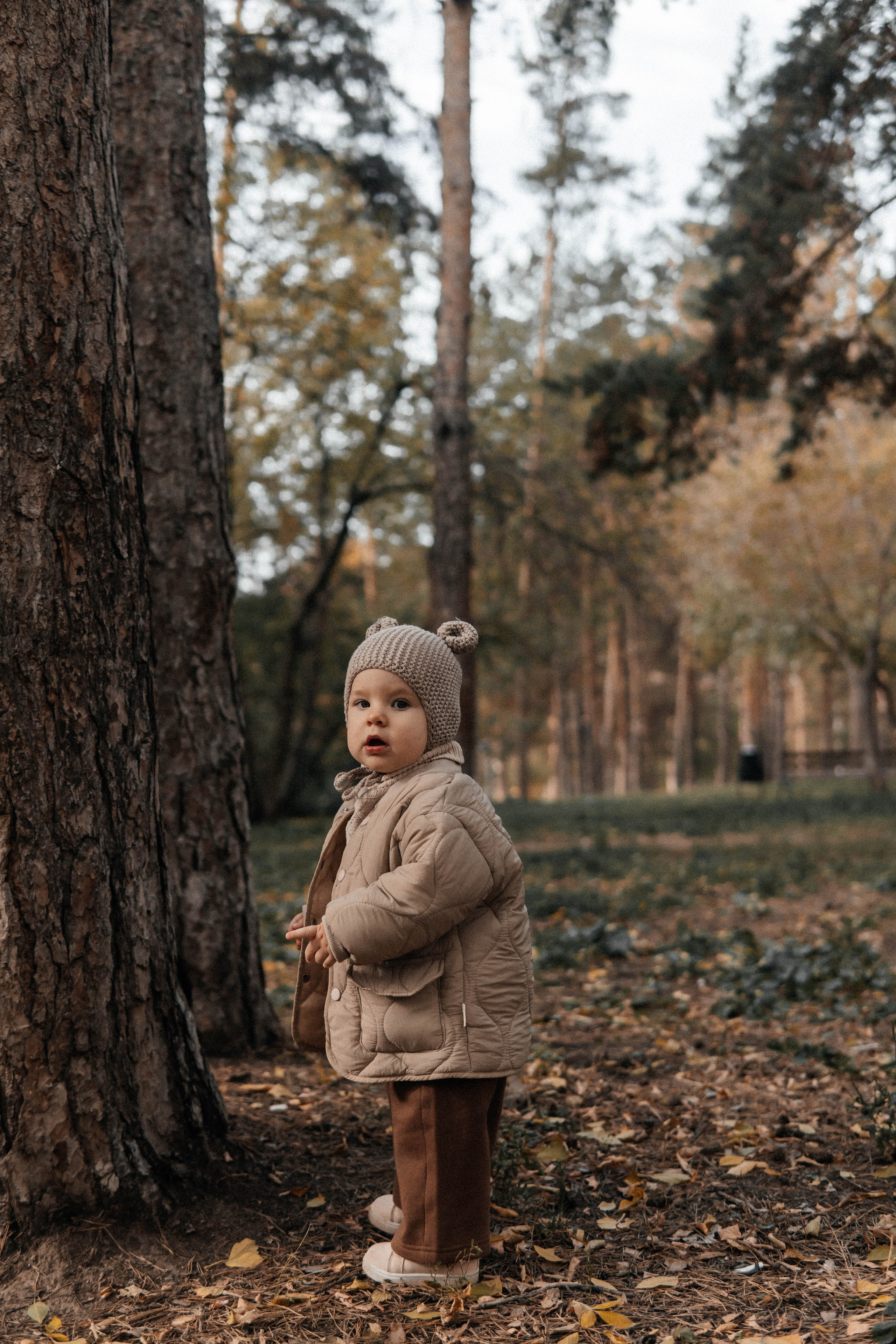 Прогулка осенью в парке. Главная страница