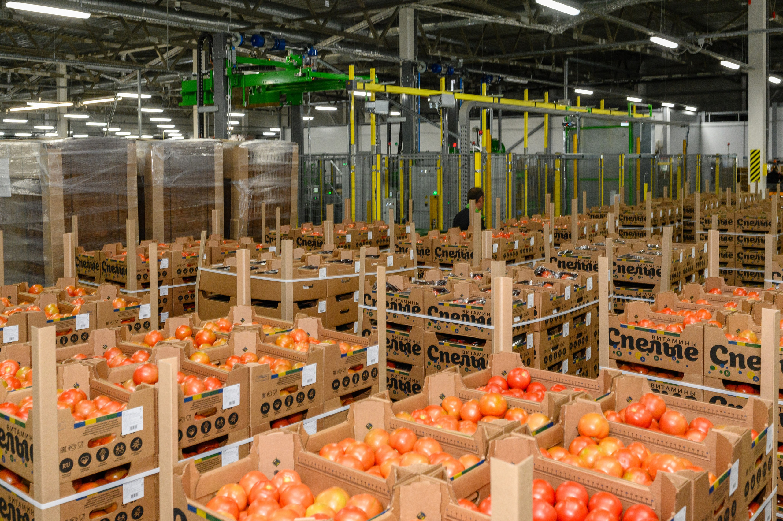 Тепличный комплекс «ПЕРМСКИЙ»