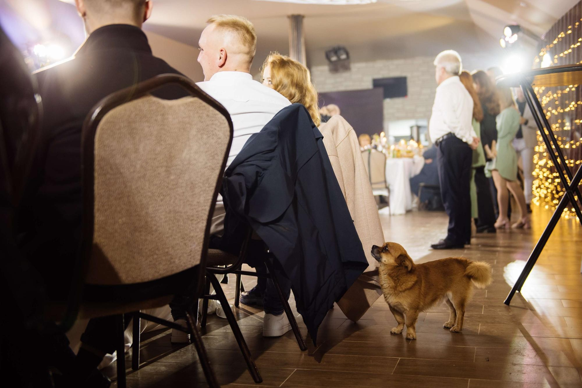 АЛЕКСАНДР И ТАТЬЯНА. Свадебный фотограф в Ставрополе Сергей Шляхов