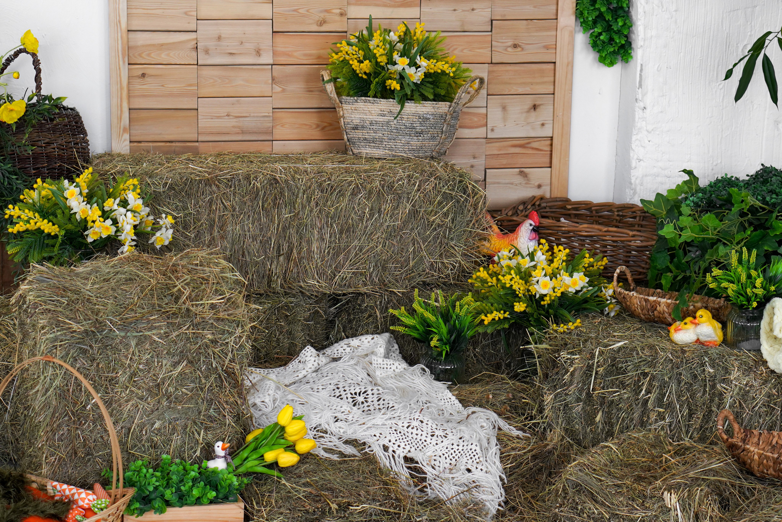 Зал Life фотостудия Импульс. Фотостудия в Саратове. Фотограф в Саратове