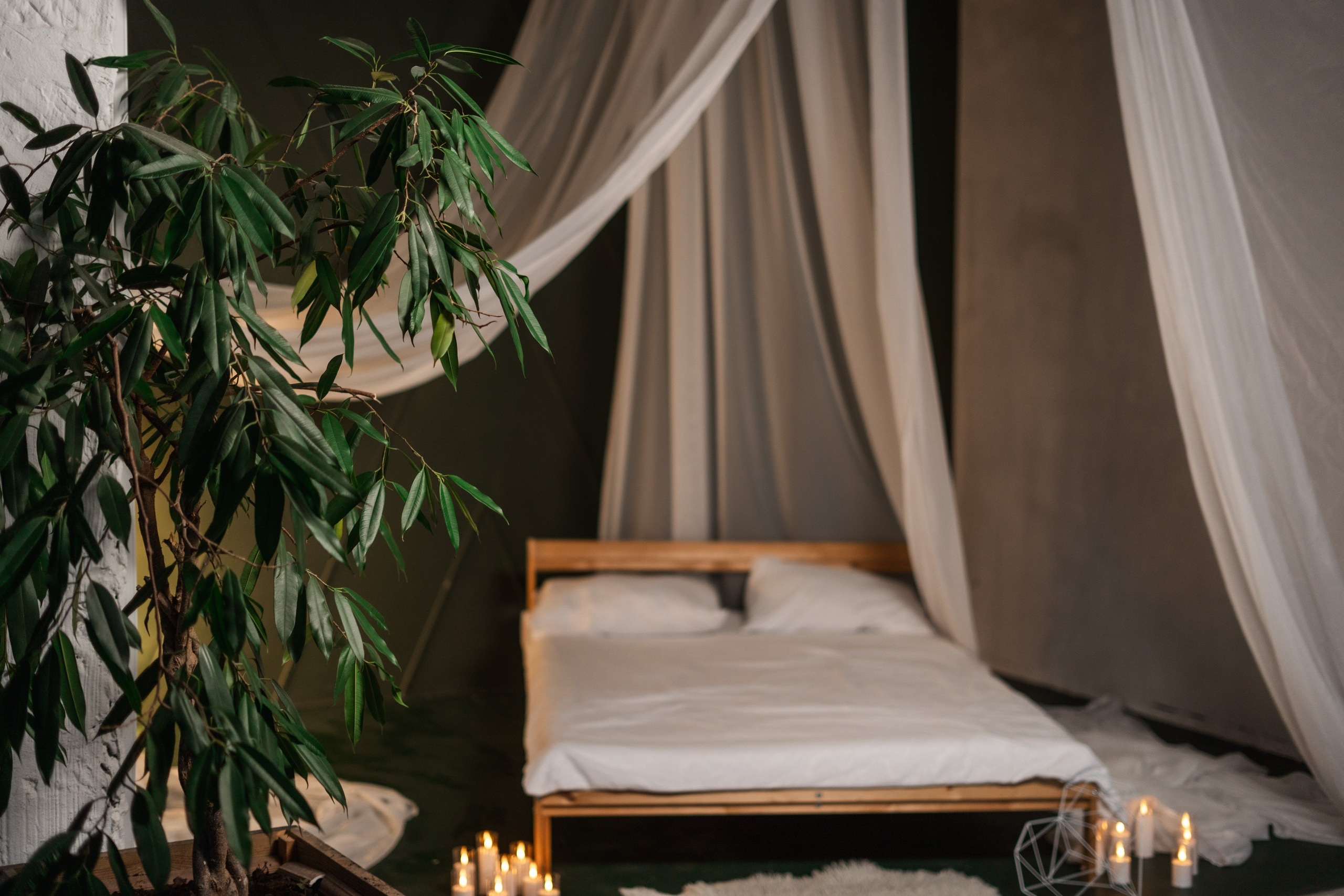 Зал Life фотостудия Импульс. Фотостудия в Саратове. Фотограф в Саратове