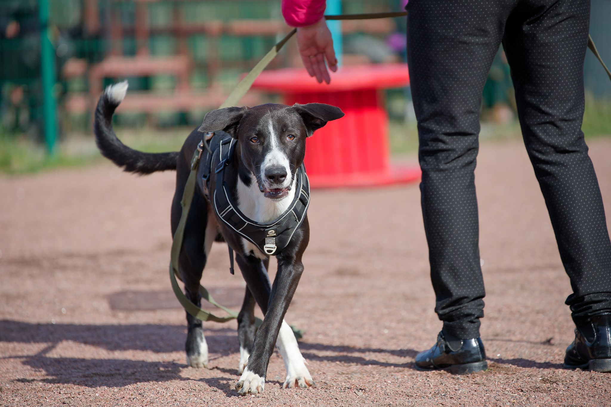 Турнир «Место». Irenephoto.ru