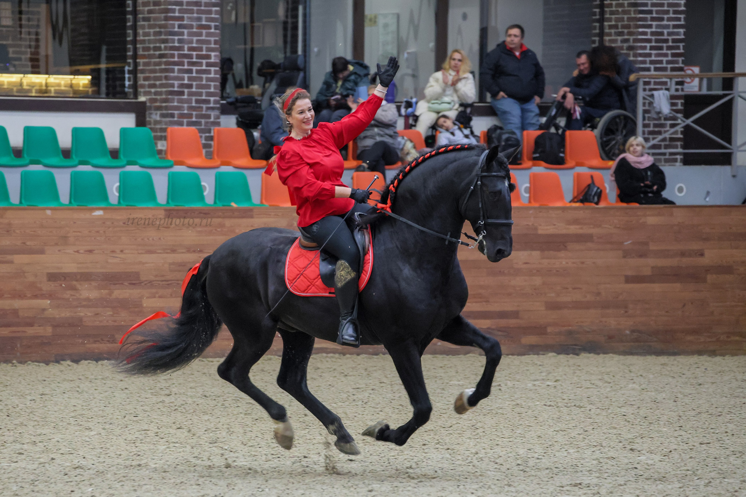 Конная Россия 2024. Irenephoto.ru