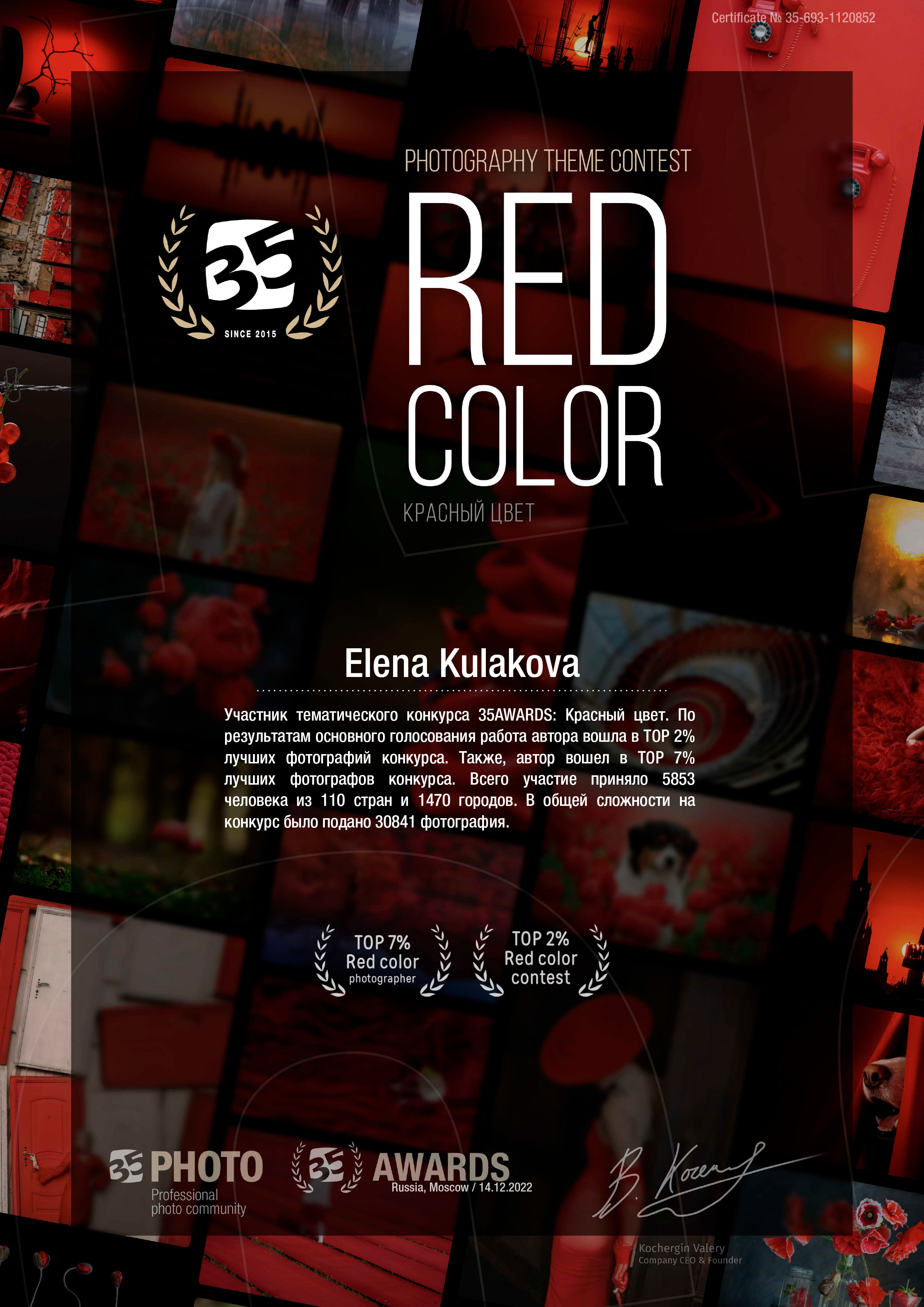 Мои достижения. Файн Арт фотограф в Ижевске Елена Кулакова